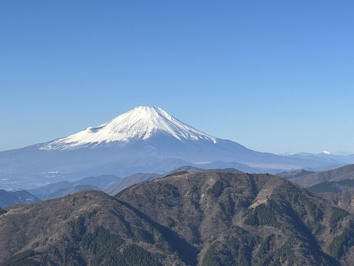 リベンジ成功 ️大山詣で / mikkoさんの大山の活動データ YAMAP / ヤマップ