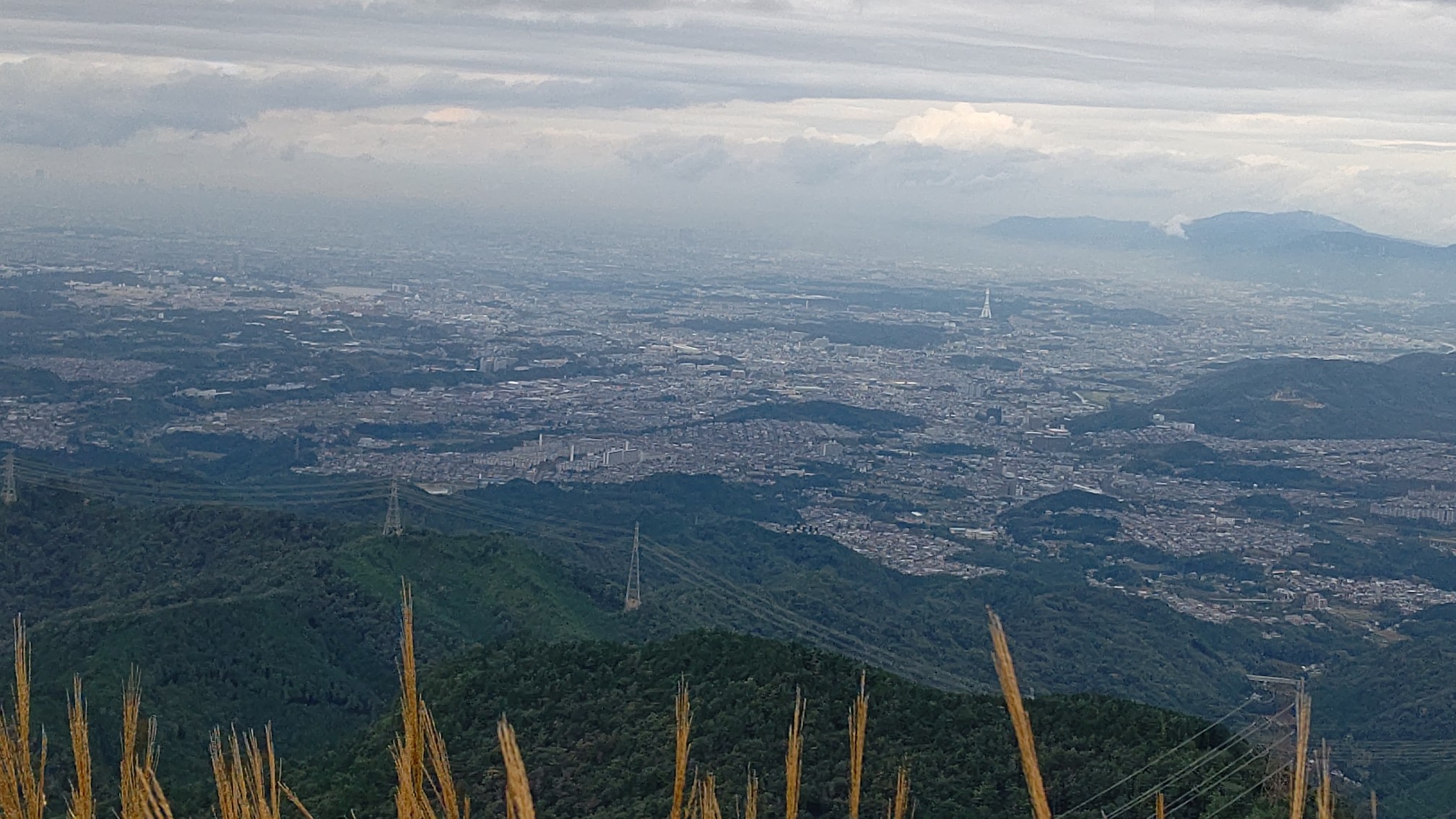 岩湧山 紀見峠駅 山頂往復コース ススキ見頃シーズン ムロさんの岩湧山 一徳防山 三石山の活動データ Yamap ヤマップ