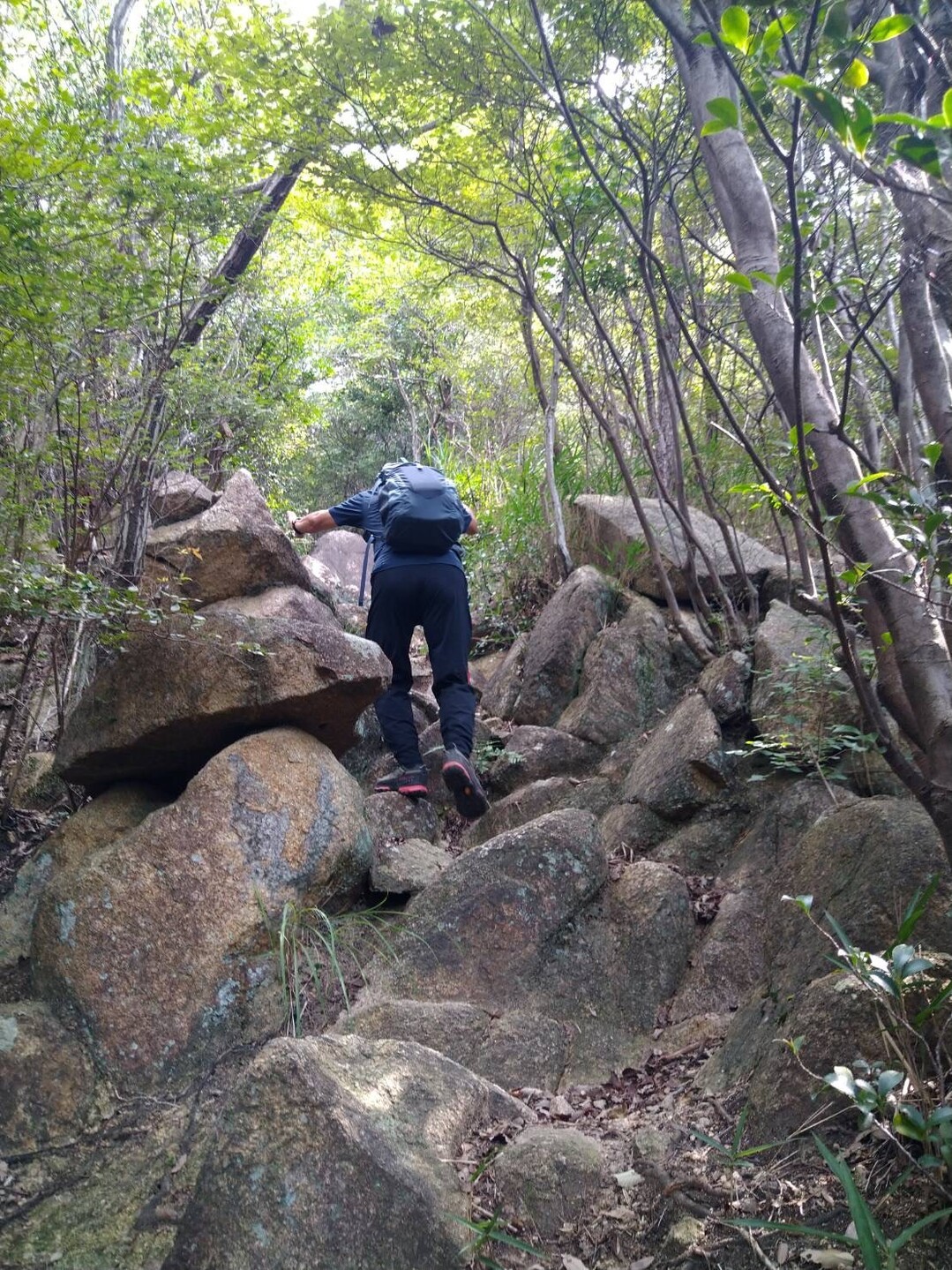 ごろごろ岳~甲山へ⛰やっぱり💦