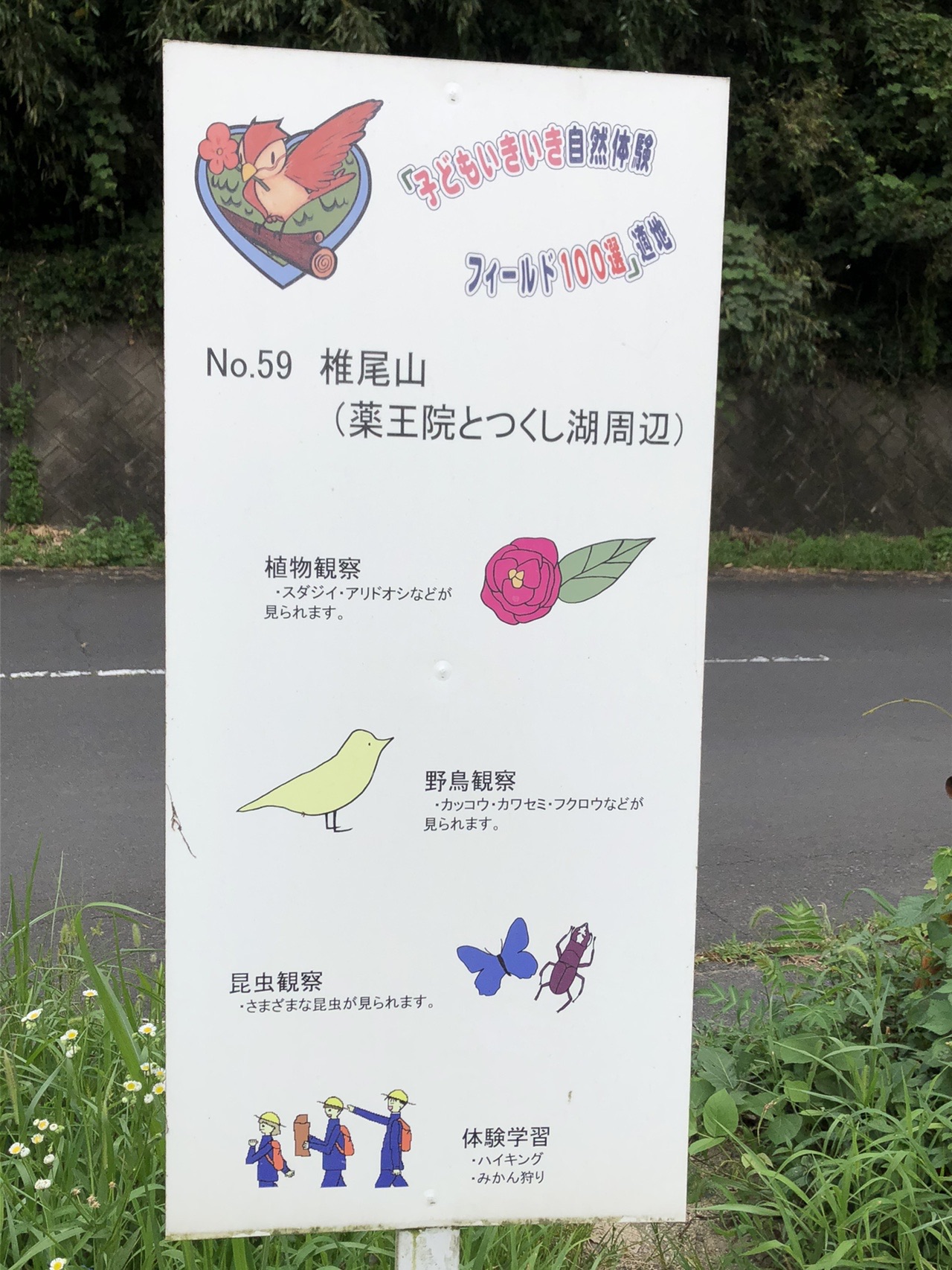 椎尾山 坊主山 筑波山 男体山 ミカちゃんさんの筑波山の活動データ Yamap ヤマップ