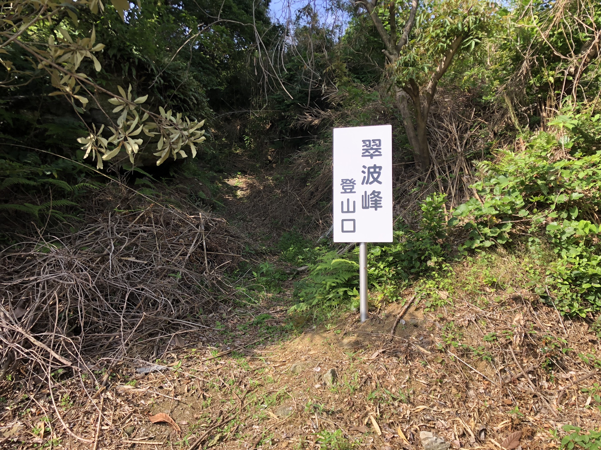 麦焼酎 翠波峰15年 #抽選販売 #希少 適当な価格 www.shelburnefalls.com