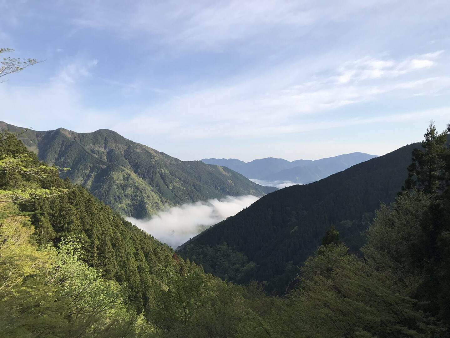 伯母ヶ峰 ショージさんの大台ヶ原山 日出ヶ岳 大杉谷の活動日記 Yamap ヤマップ