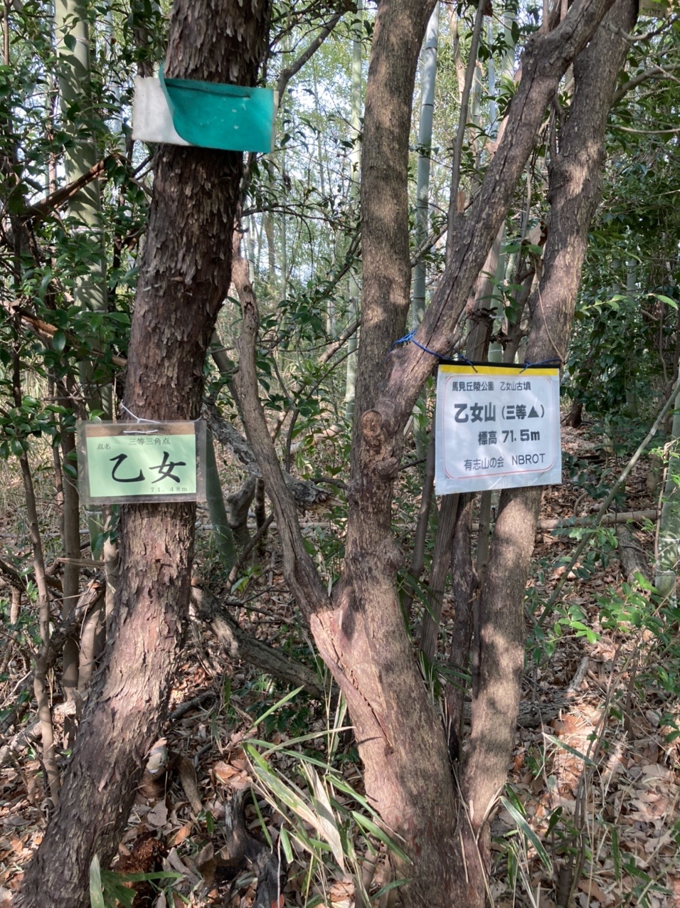 乙女山 馬見丘陵公園 竹取公園ウォーキング 北ちゃんさんの明神山の活動データ Yamap ヤマップ
