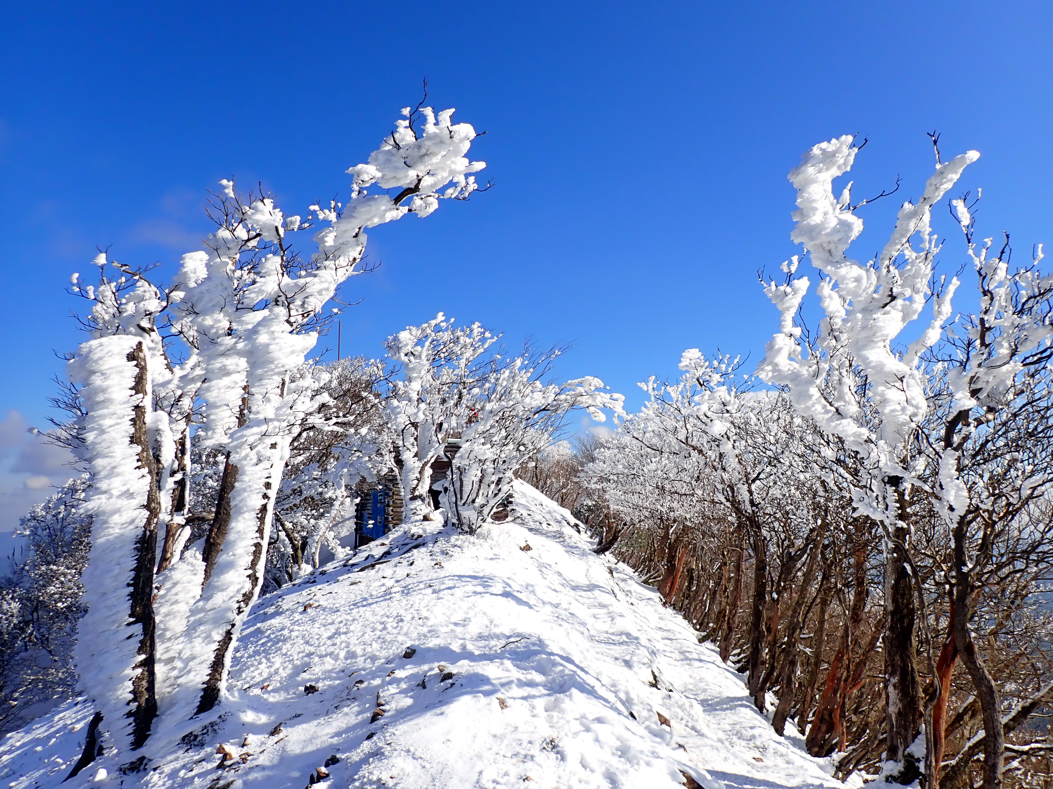 高見山 樹氷 今後に期待 Hiro7667さんの高見山 黒石山 天狗山の活動データ Yamap ヤマップ