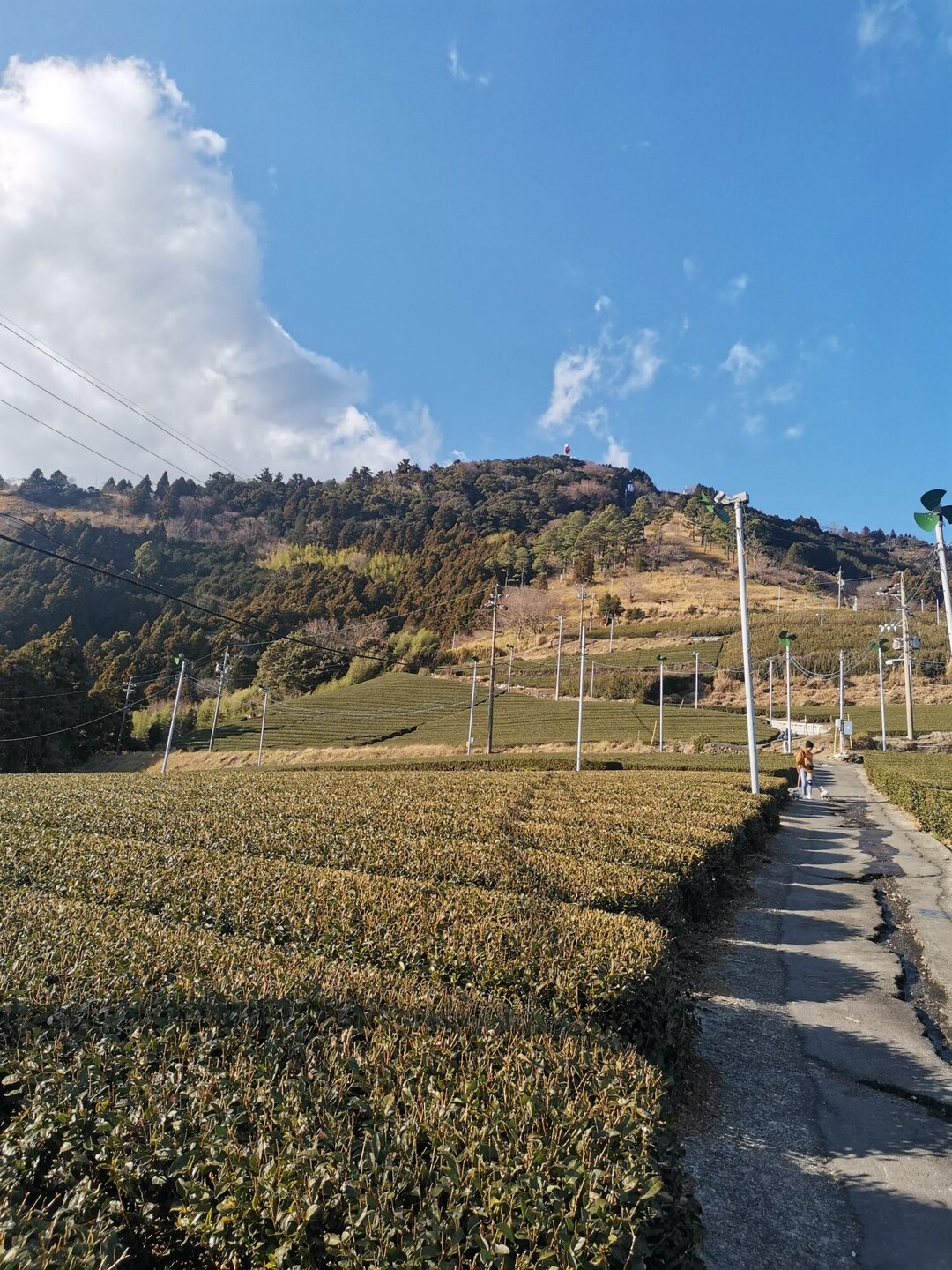 粟ヶ岳 / Hiroさんの粟ヶ岳の活動データ YAMAP / ヤマップ