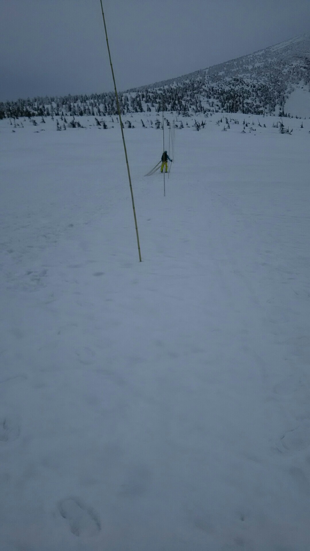 宮さまルートのポールを修正 甲田山 高田大岳 雛岳 19 03 21 八甲田山 高田大岳 雛岳の写真3枚目 何とかお天気も もって居ます 田茂萢湿原 Yamap ヤマップ