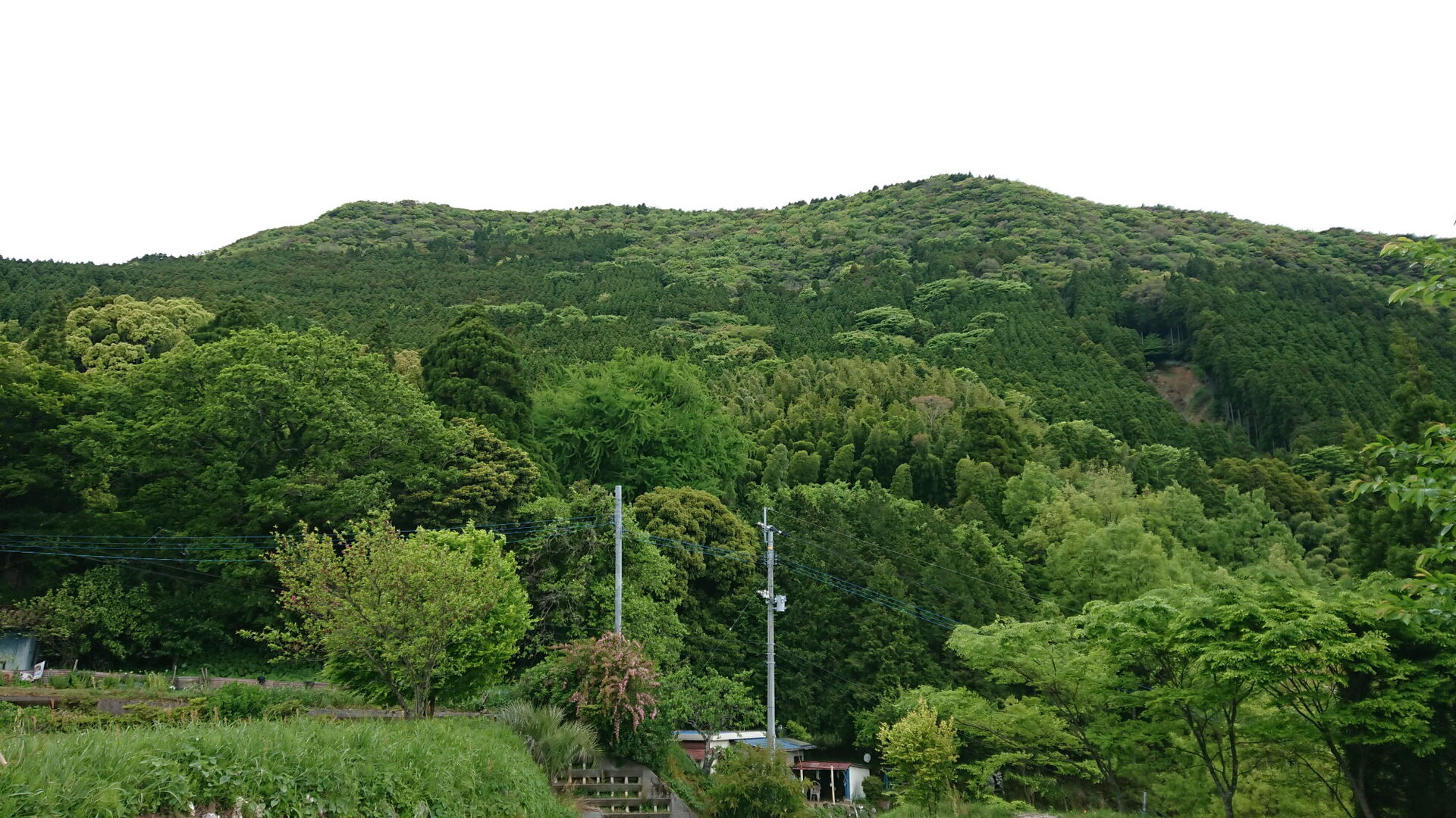 甲佐岳 コヨーテさんの洞ヶ岳 茂見山 目丸山の活動日記 Yamap ヤマップ