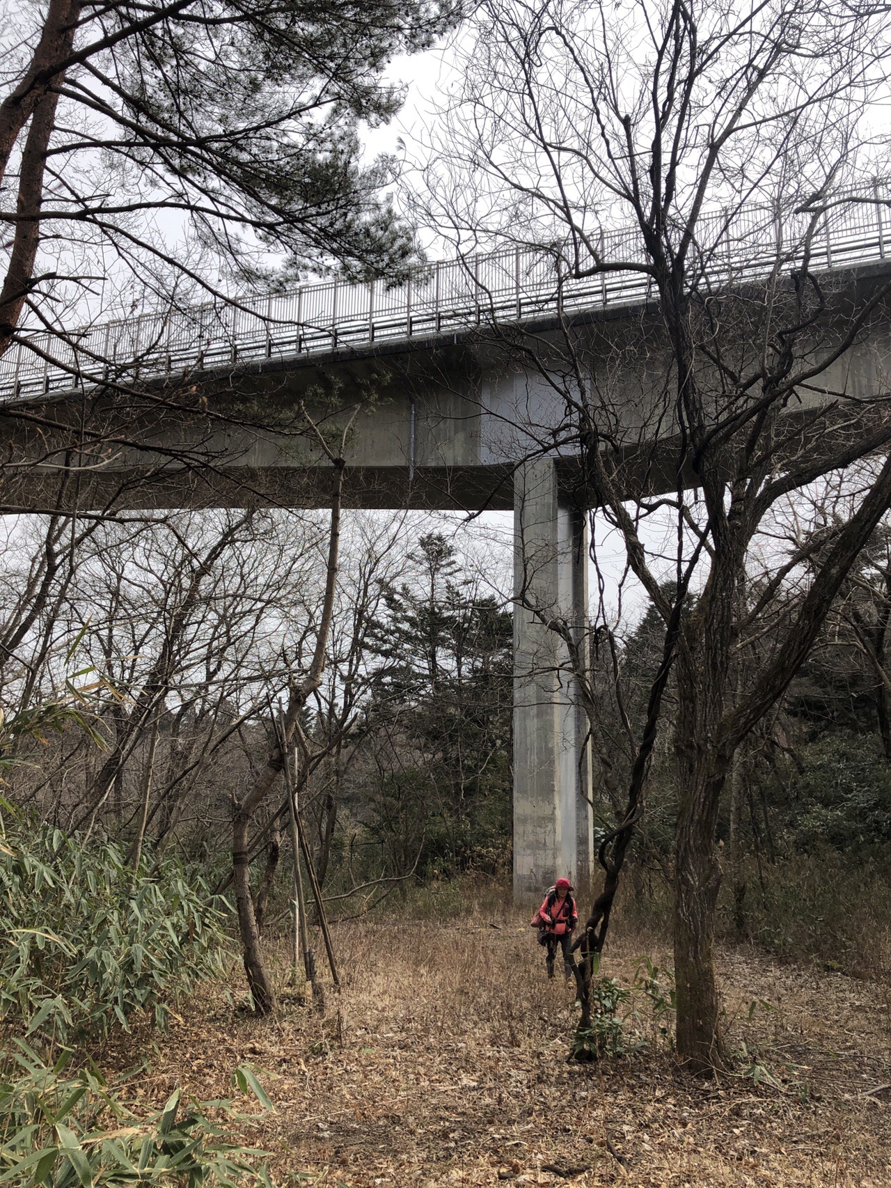 仙台市竜ノ口渓谷ー猛烈な薮漕ぎで八木山から青葉山へ Sparrowhさんの仙台市の活動日記 Yamap ヤマップ