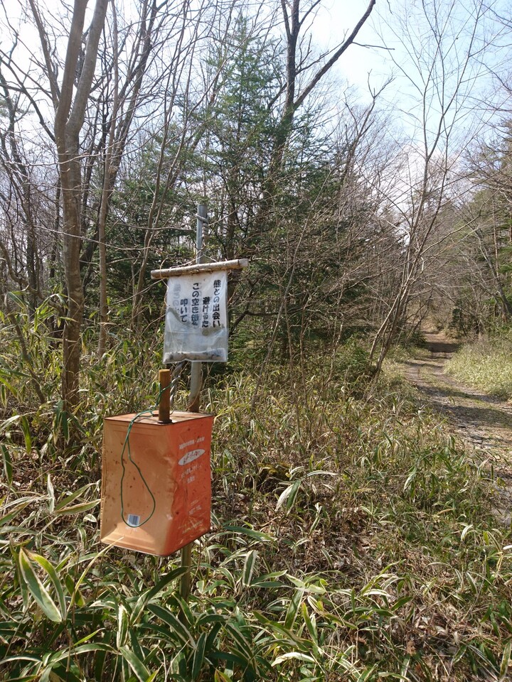 花の名前を調べたら 花言葉を知って ウルウルしました 04 04 太白山 萱ヶ崎山 蕃山の写真52枚目 クマ缶をガンガン叩く酔っ払い Yamap ヤマップ