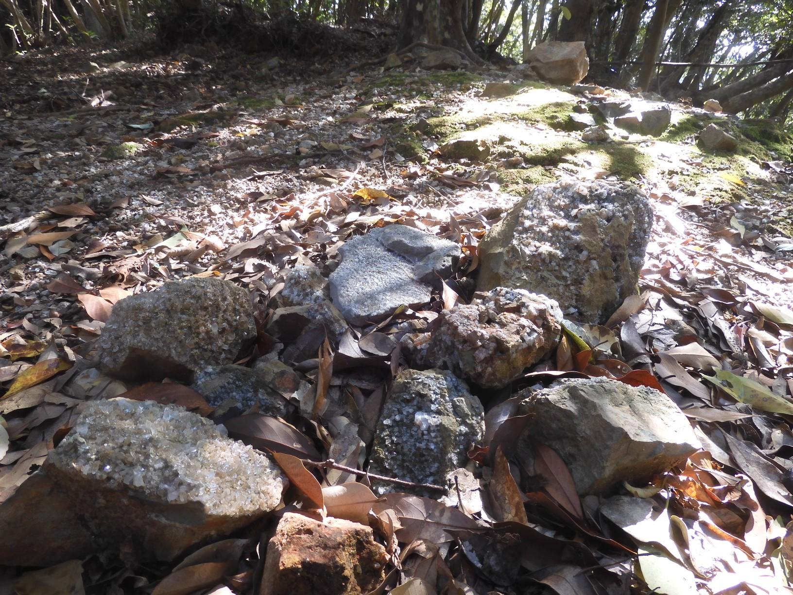 写真では良く分からないが、水晶を含んだ石が有る。　
ここは水晶山、この辺りで採掘されていたのだろうか？　
他には無さそうなのでルートに戻り...