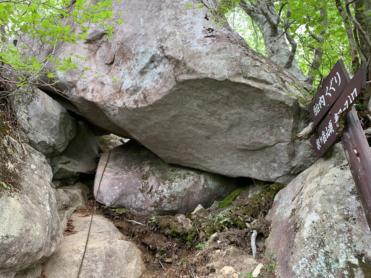 泉ヶ岳 表コースと黒鼻山 05 18 きむらさんの船形山 御所山 泉ヶ岳 蛇ヶ岳の活動データ Yamap ヤマップ