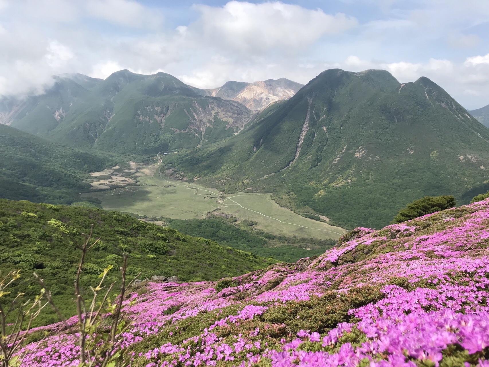 ミヤマキリシマ満開 九重連山 ヤマップオフ会参戦 19 05 30から06 02 Kinakochocoさんの九重山 久住山 大船山 星生山の活動データ Yamap ヤマップ