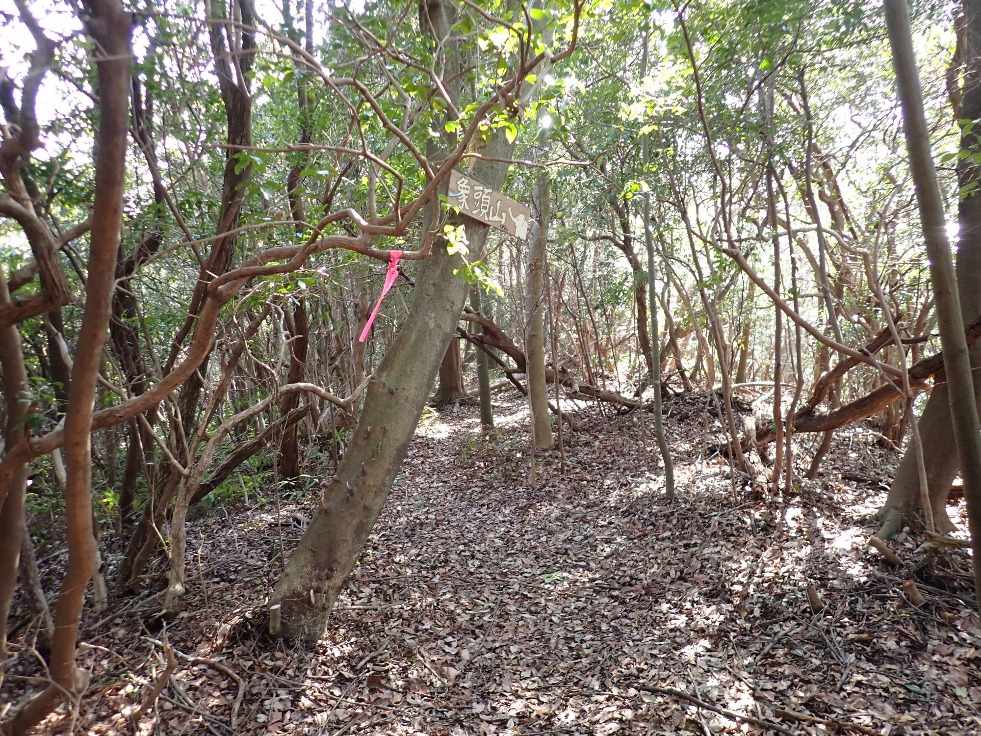 象頭山（山口） YAMAP / ヤマップ