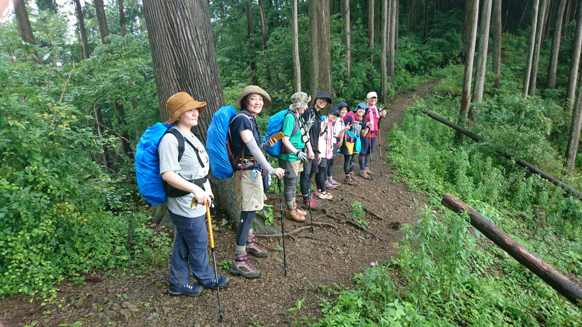 Fgt山倶楽部 青梅丘陵ハイキングコース いでっちさんの高水山 岩茸石山 惣岳山の活動データ Yamap ヤマップ