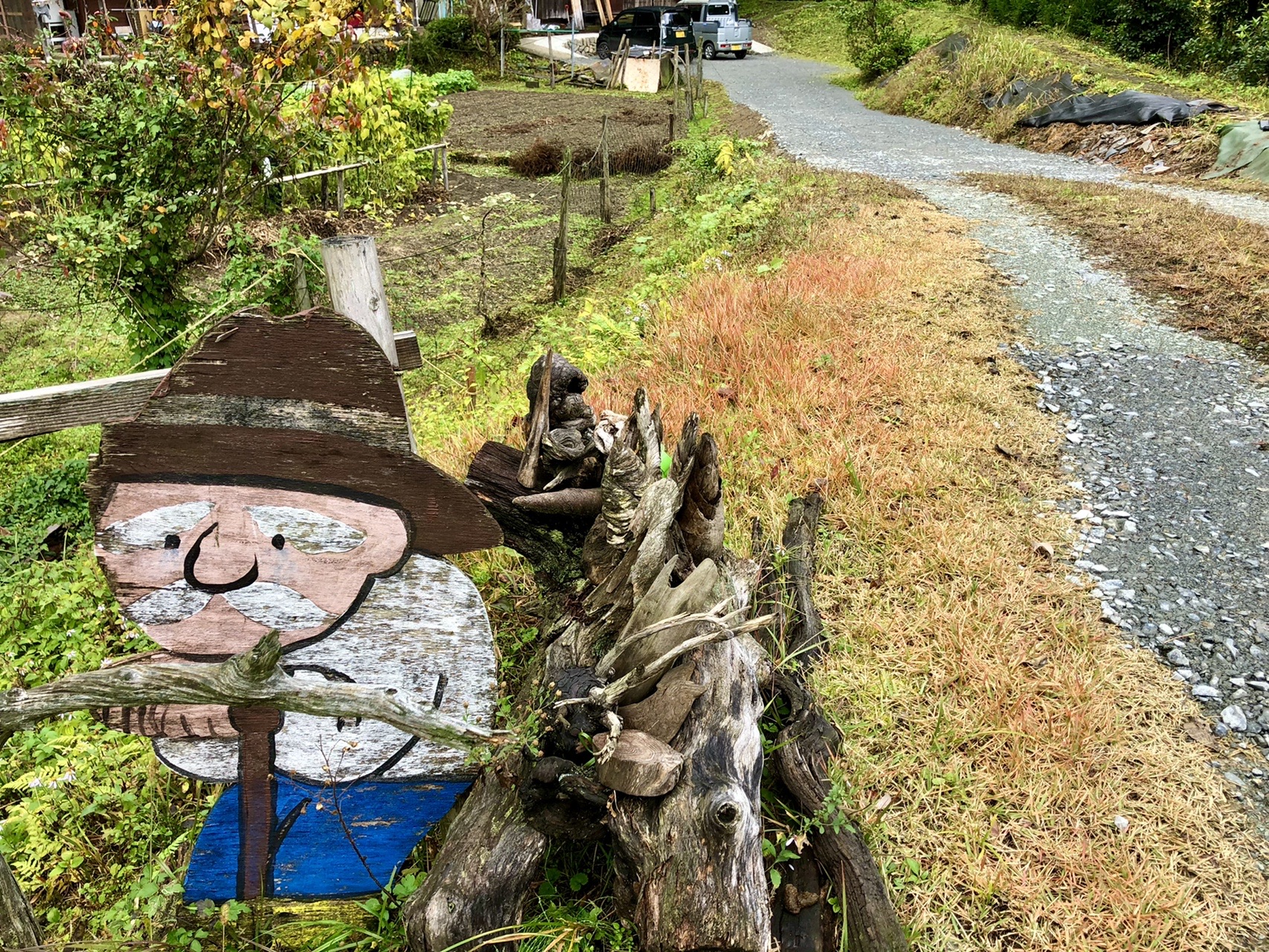 芦生の森トロッコ道 ヨシさんの三国岳 経ヶ岳 小野村割岳の活動データ Yamap ヤマップ