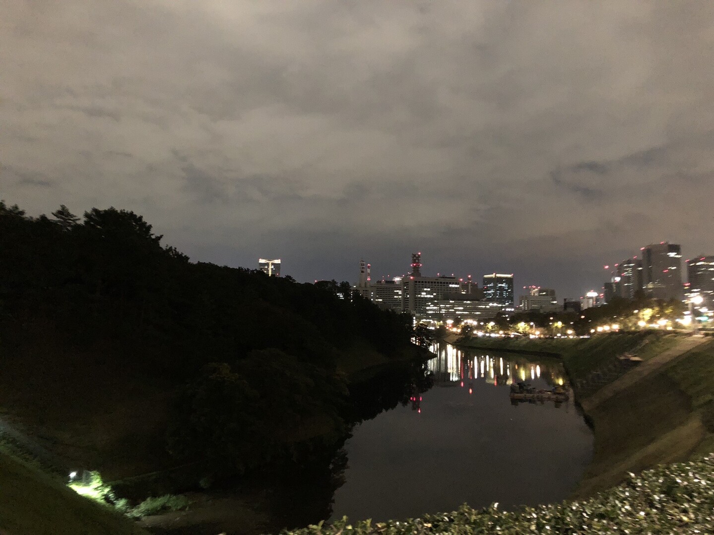 夜 皇居 独り祝賀パレード スーツで約6km歩 ヒルズさんの東京都23区 中央エリアの活動日記 Yamap ヤマップ