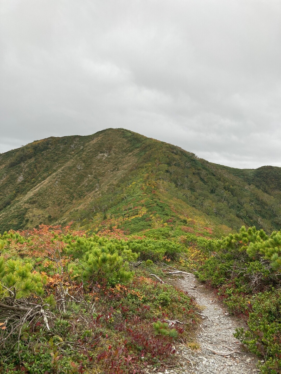 ウエンシリ岳 / マエサン0821さんのウエンシリ岳の活動データ YAMAP / ヤマップ