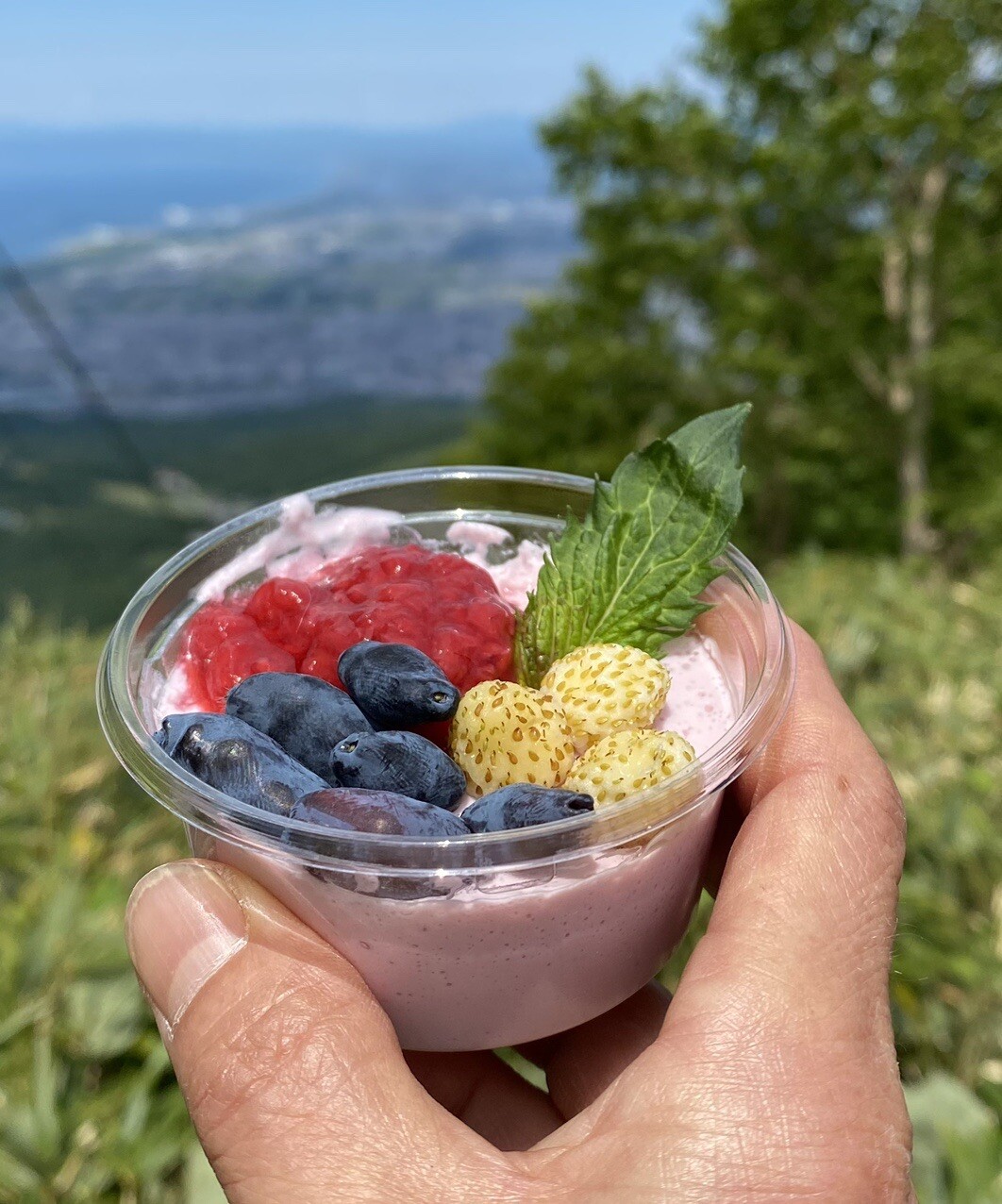 手稲山直登往復 千尺 アンディさんの札幌市の活動データ Yamap ヤマップ