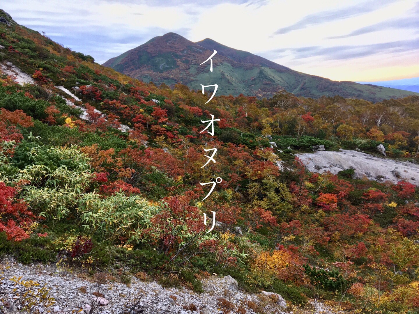紅葉の白砂庭園 イワオヌプリ 北海道山旅3 Mistymountainhopさんのニセコアンヌプリ イワオヌプリ チセヌプリの活動日記 Yamap ヤマップ