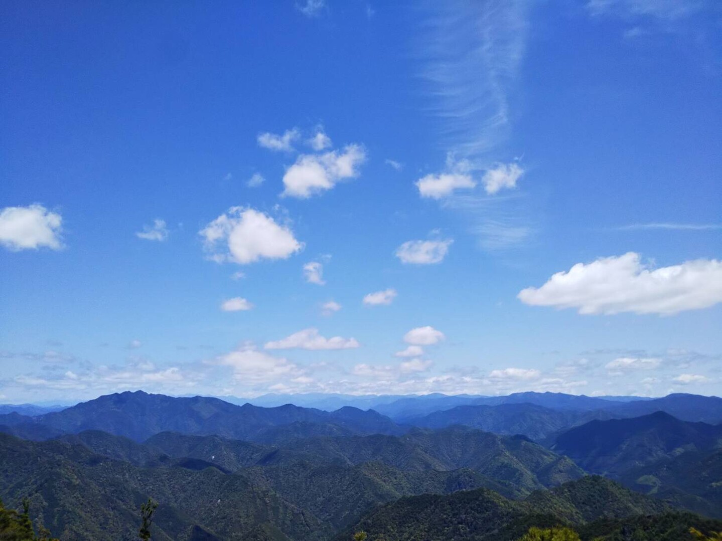 鞍掛山(愛知県)・鳳来寺山・岩古谷山20200517 / loyzabulowさんの宇連山・鳳来寺山・岩古谷山の活動データ