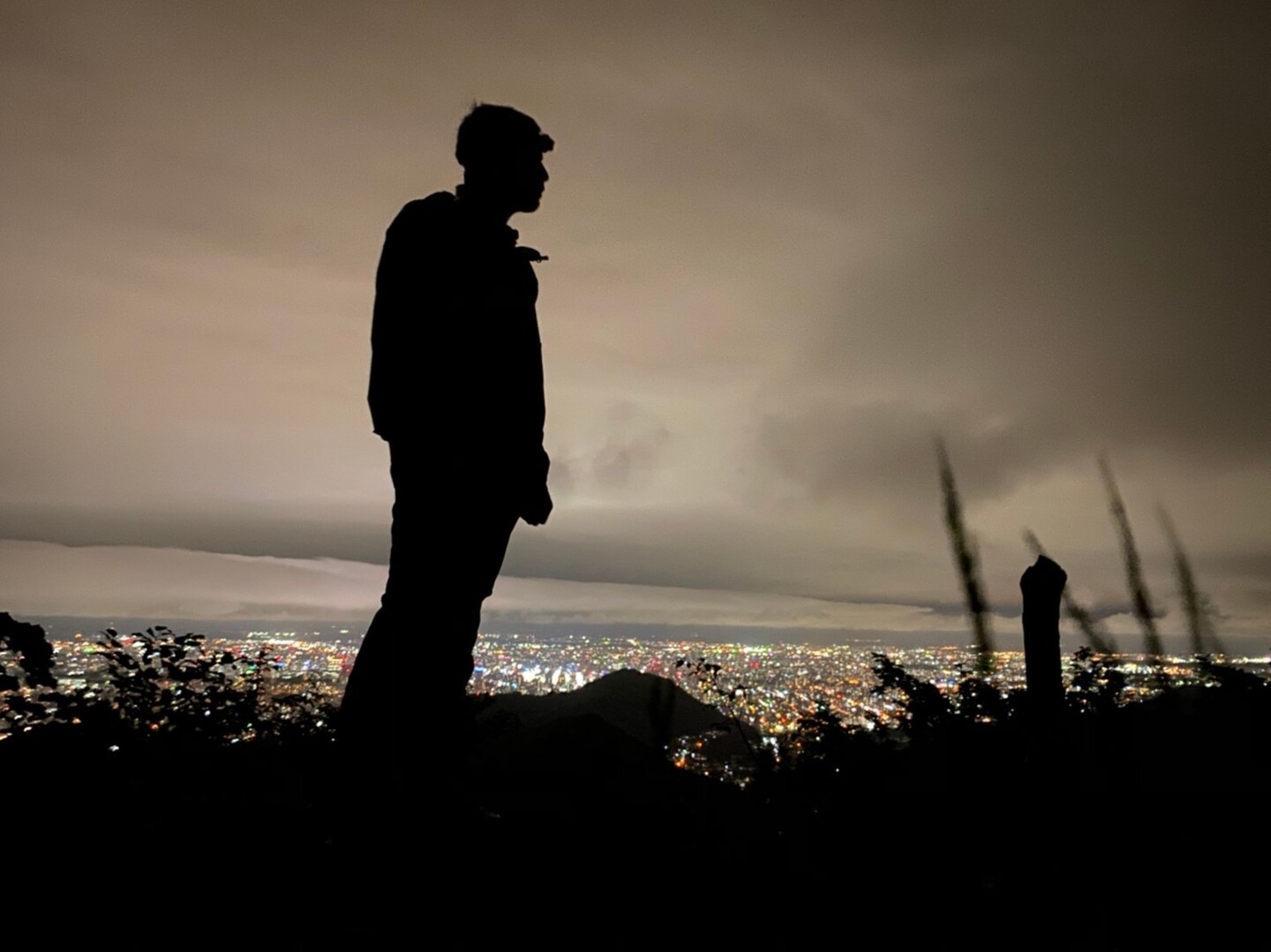 久々の札幌の夜景を観に奥三角山へ Tatsushi Uさんの三角山 札幌市 大倉山 円山の活動日記 Yamap ヤマップ