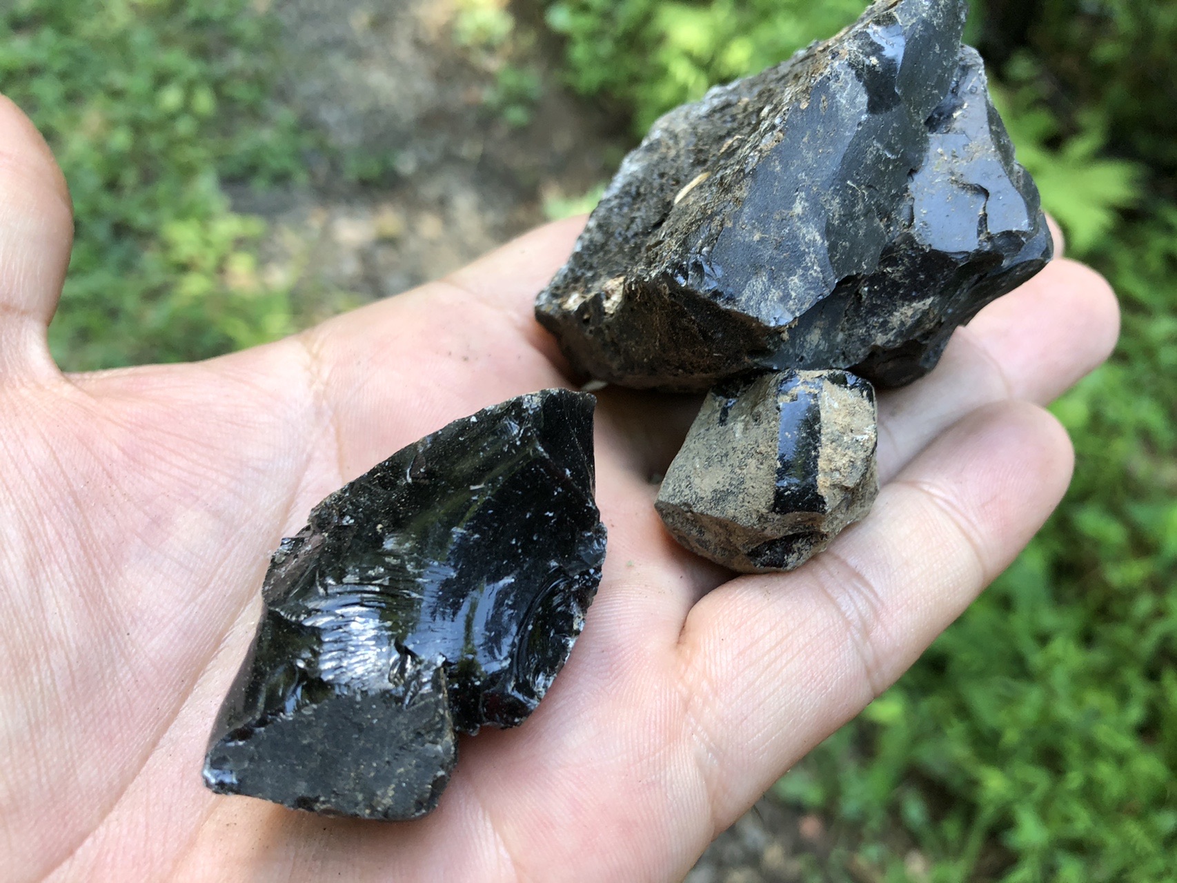 095 黒曜石探しに腰岳 れいし04さんの黒髪山 青螺山の活動データ Yamap ヤマップ