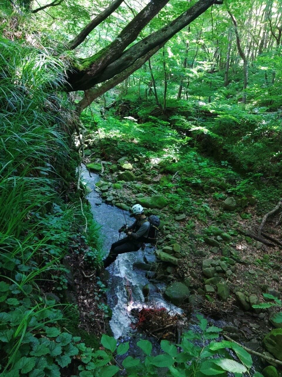 ベンガルワシミミズク氏家のページ YAMAP / ヤマップ