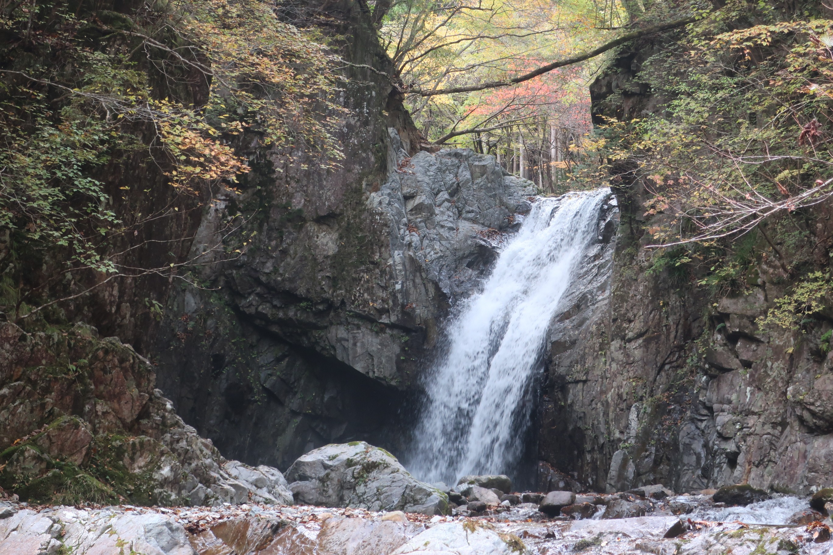 大芦渓谷散策 Kiitomuさんの横根山 方塞山 井戸湿原の活動データ Yamap ヤマップ