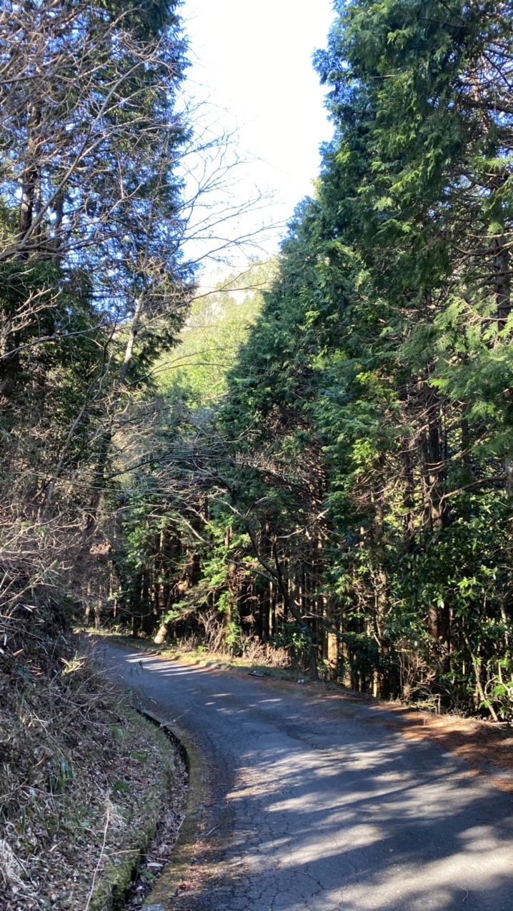 富士山を見にハマイン！（浜石岳 野外センターからループ） / ラスさんの薩埵峠（薩た峠・サッタ峠）・浜石岳の活動日記 | YAMAP / ヤマップ