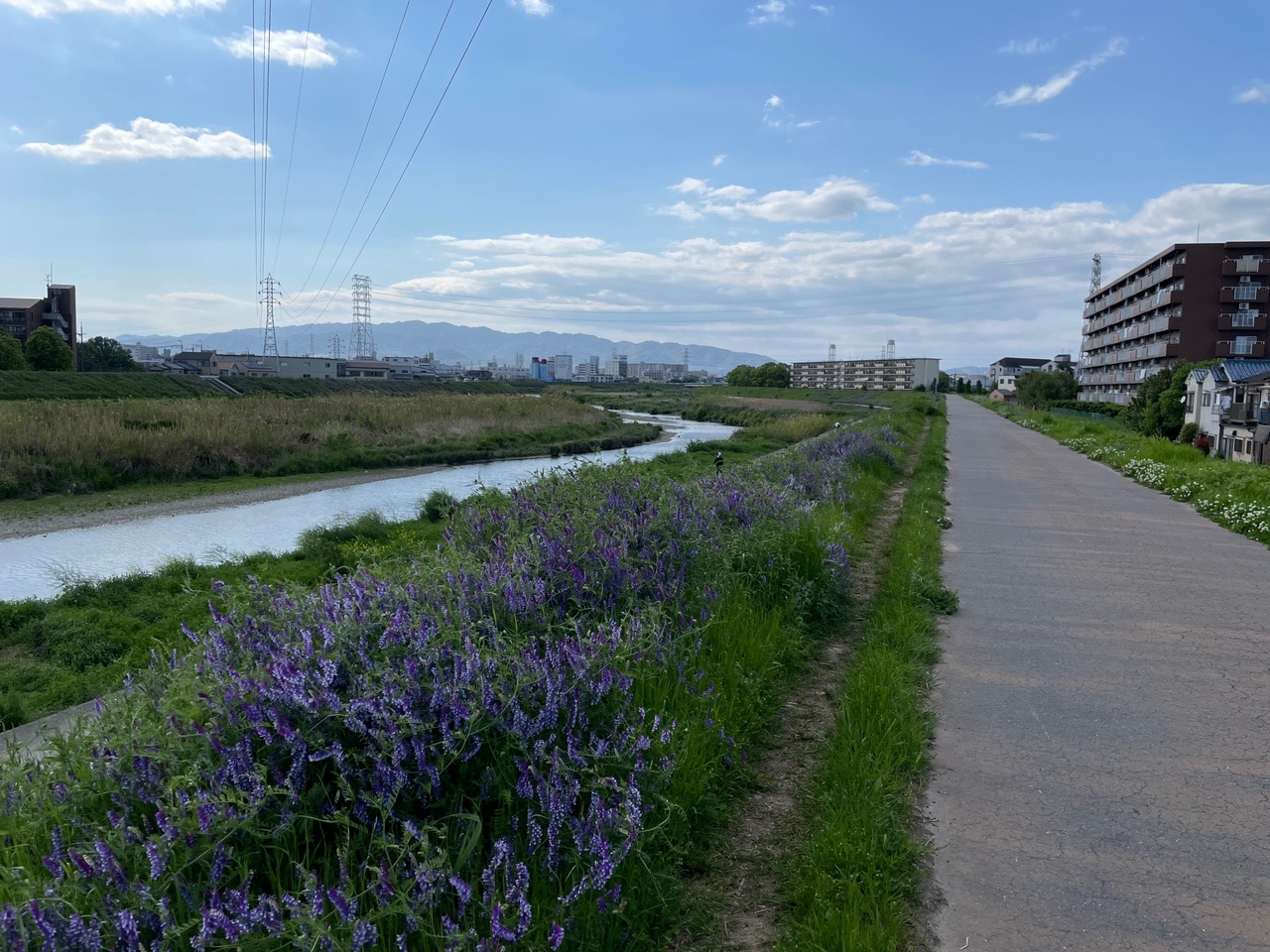 東阪神 21藻川 尼崎農業公園 Mさんのサイクリングの活動データ Yamap ヤマップ