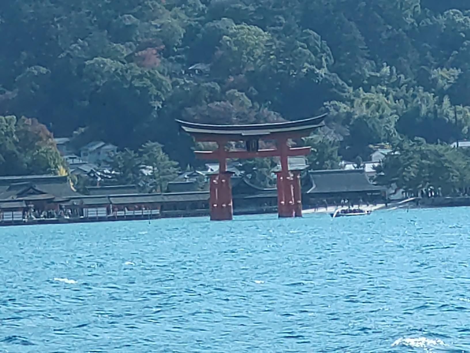 宮島（厳島）・弥山-2025-11-21 / よっちゃんさんの宮島（厳島）・弥山