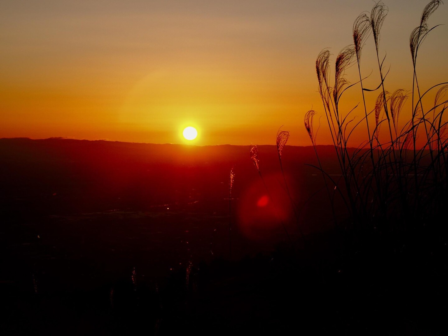 池田山 / shouichiさんの池田山の活動データ YAMAP / ヤマップ