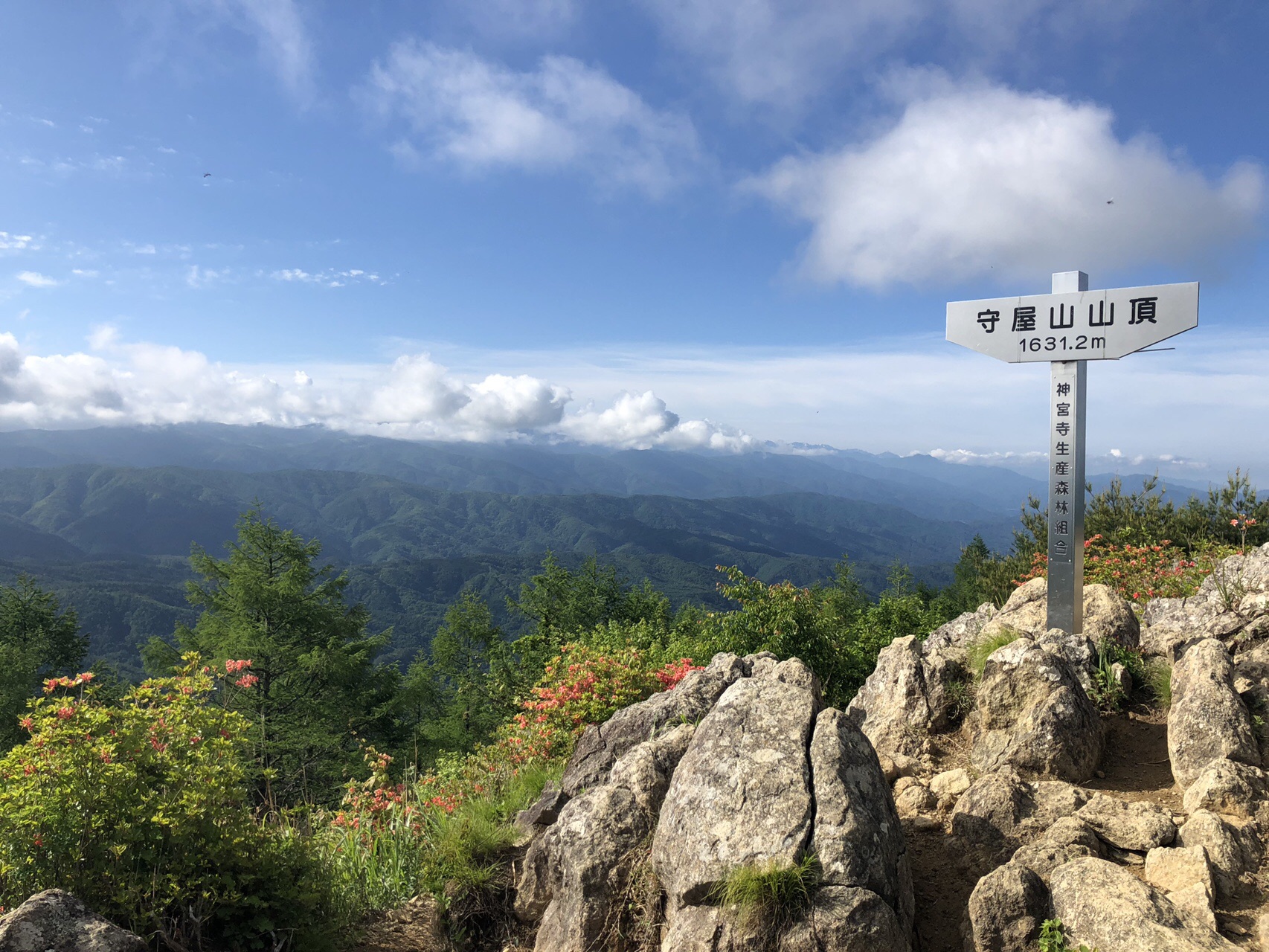 守屋山20190618 / ひーちゃんさんの守屋山の活動データ YAMAP / ヤマップ