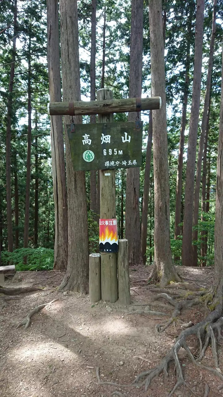 高畑山 埼玉県 の最新登山情報 紅葉 人気の登山ルート 写真 天気など Yamap ヤマップ