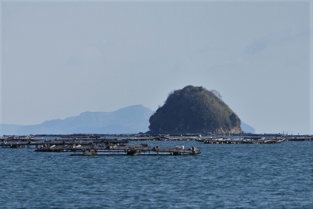 27鼠島＆家島諸島＆牡蠣いかだ…ほぼ東に鼠島が見えるようになりました。周辺の牡蠣いかだもはっきり見えます。さらに南下し、家島諸島や長島などを動画に撮りました。