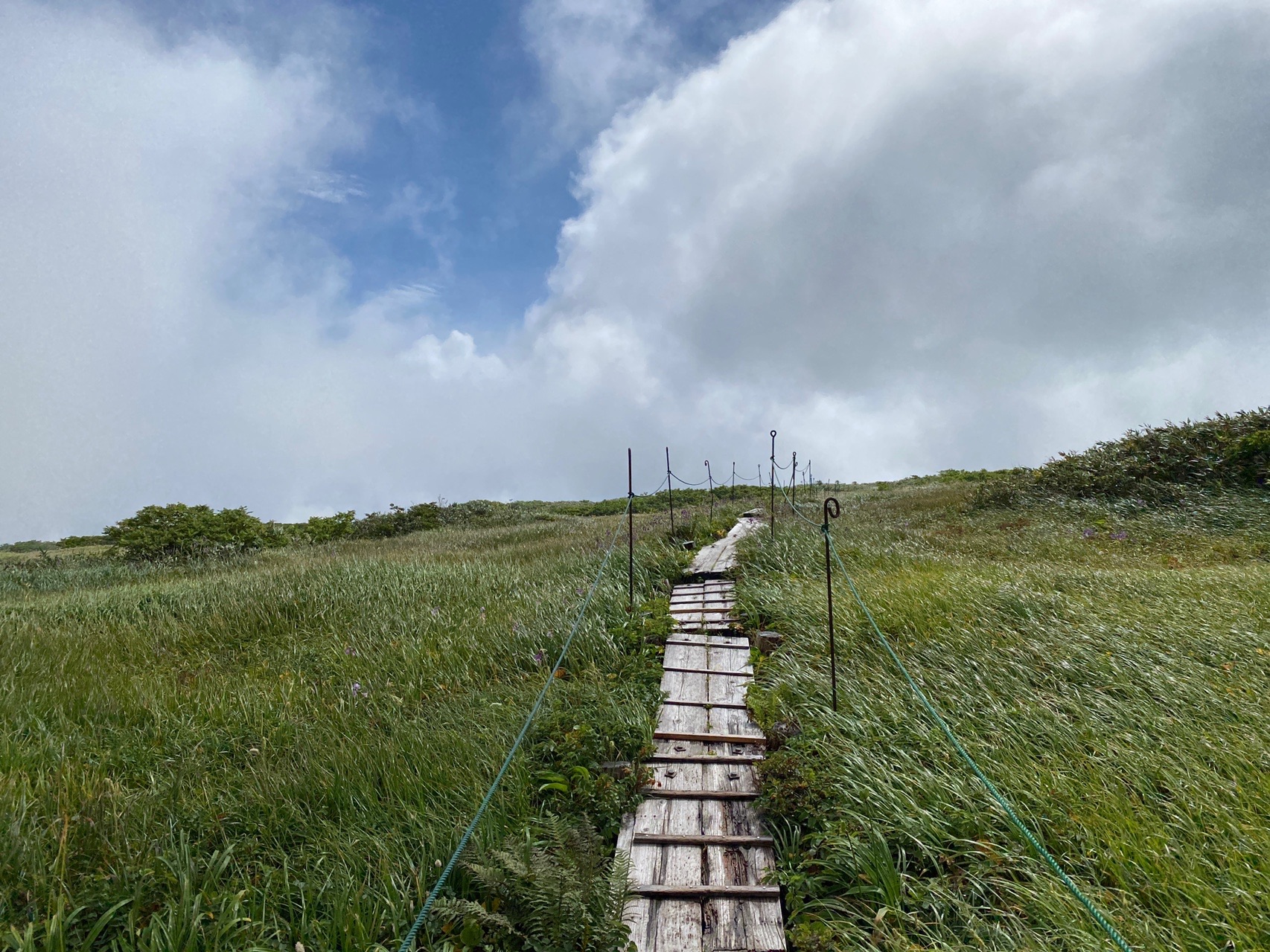 月山 がっさーん 立て ジョー 遊びでねぇんだ 08 13 Goofyさんの月山の活動データ Yamap ヤマップ