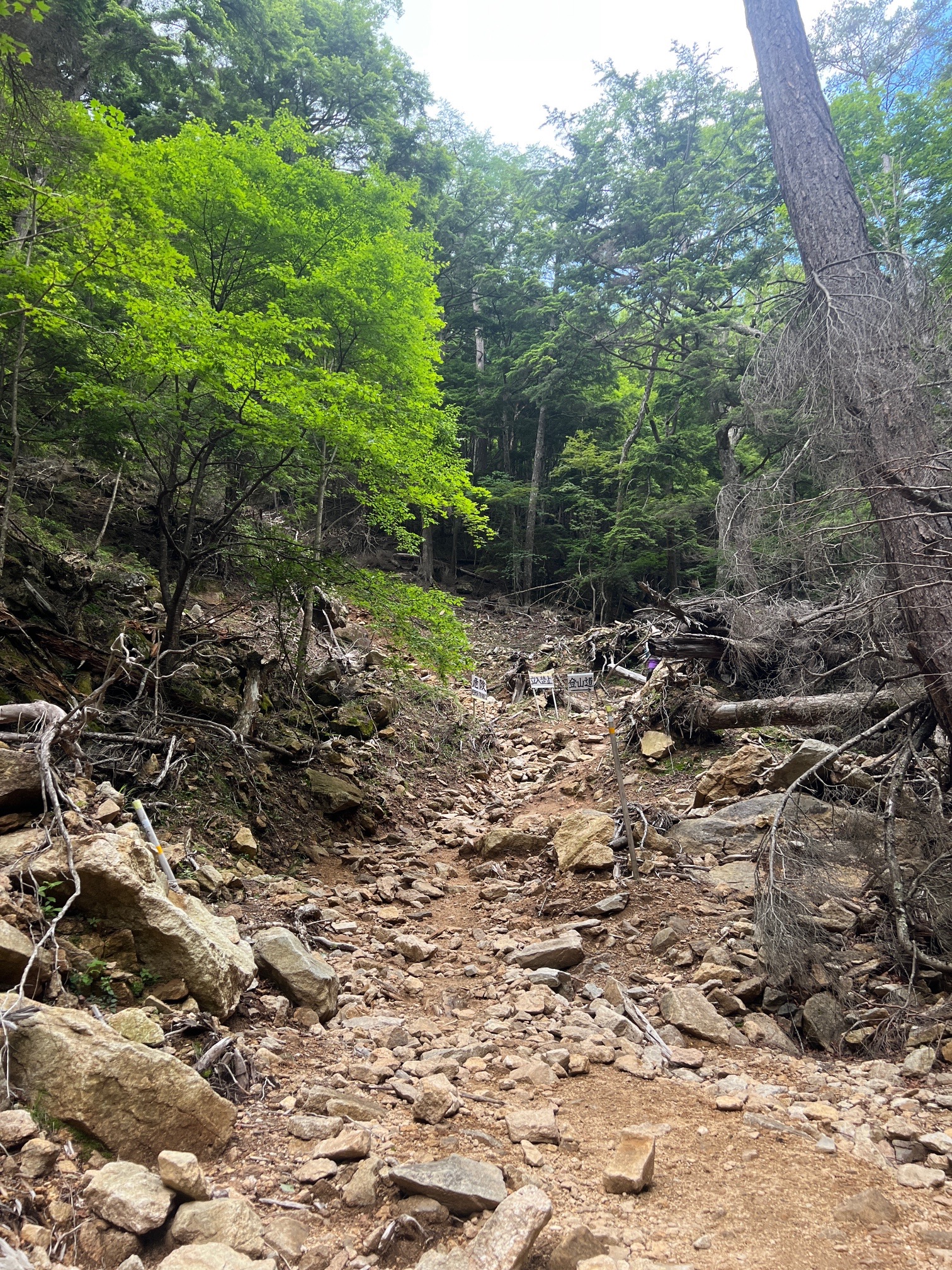 下りは慎重に、