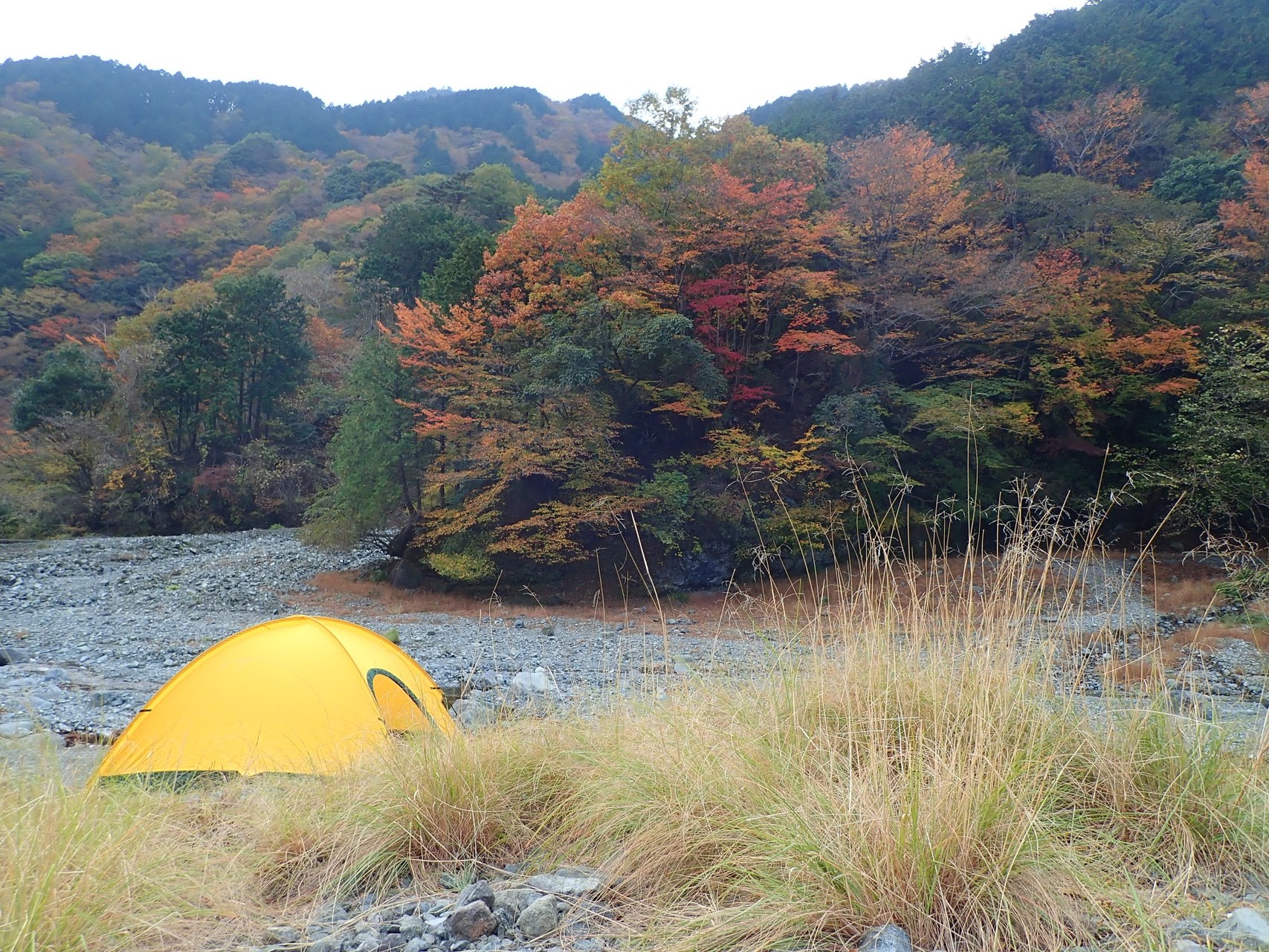 戸沢出合駐車場 塔ノ岳 コラボ登山 Hayashibaさんの丹沢山の活動データ Yamap ヤマップ