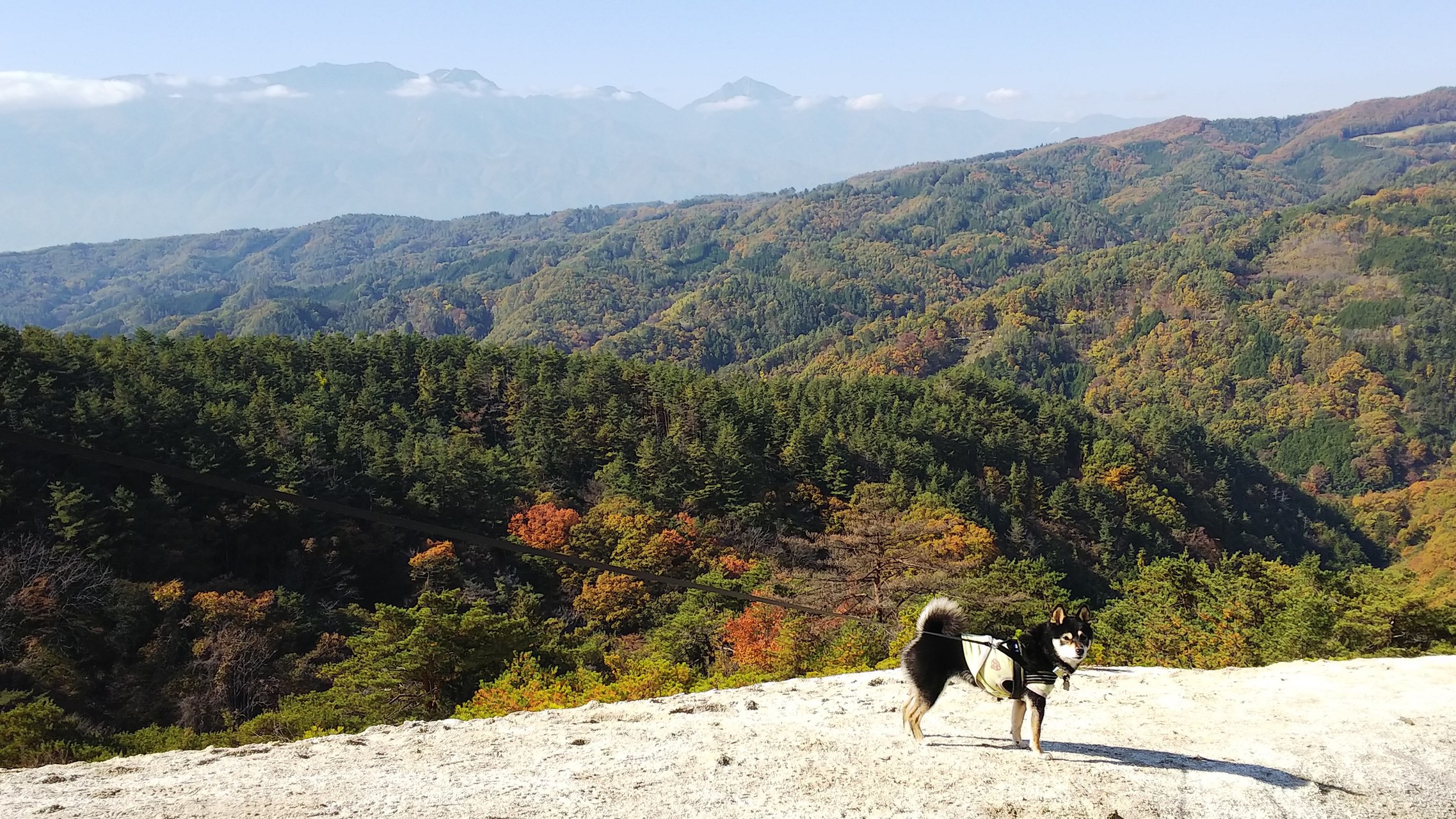 昇仙峡 へ時計回り周回コース 白山展望台 白砂山 羅漢寺山 昇仙峡 もーちゃんさんの弥三郎岳 羅漢寺山 の活動データ Yamap ヤマップ