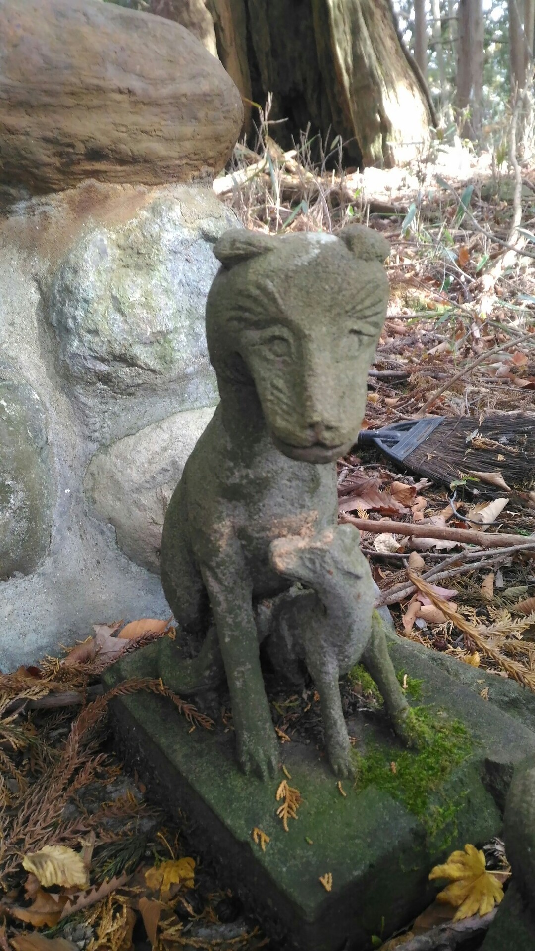 お犬様探訪記 奥多摩オオカミ信仰の総本山へ サトラッシュさんの大岳山 御岳山 御前山の活動データ Yamap ヤマップ