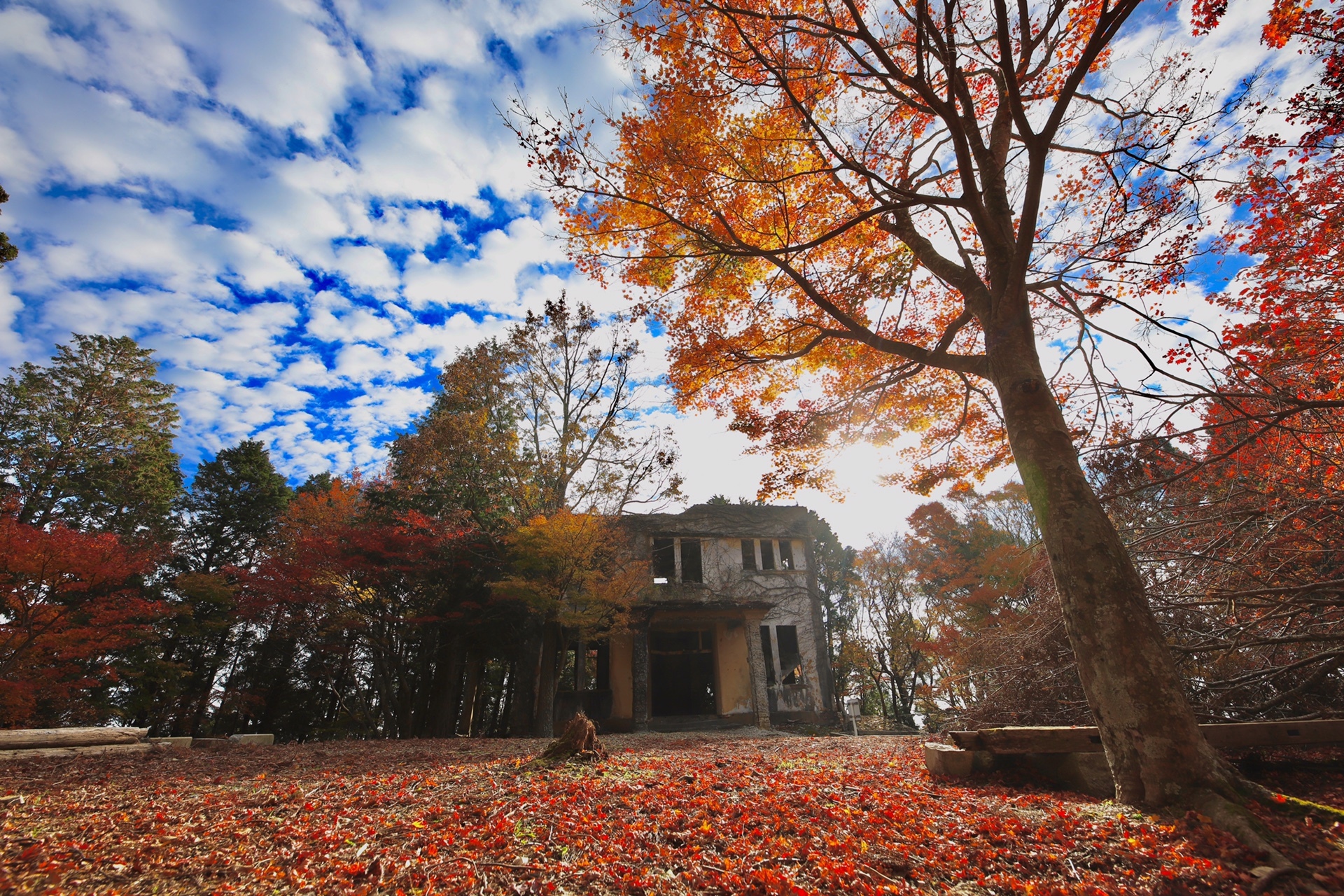 京都愛宕山 廃線を行き いざ廃墟へ となりのクララさんの愛宕山 三頭山 朝日峯の活動データ Yamap ヤマップ