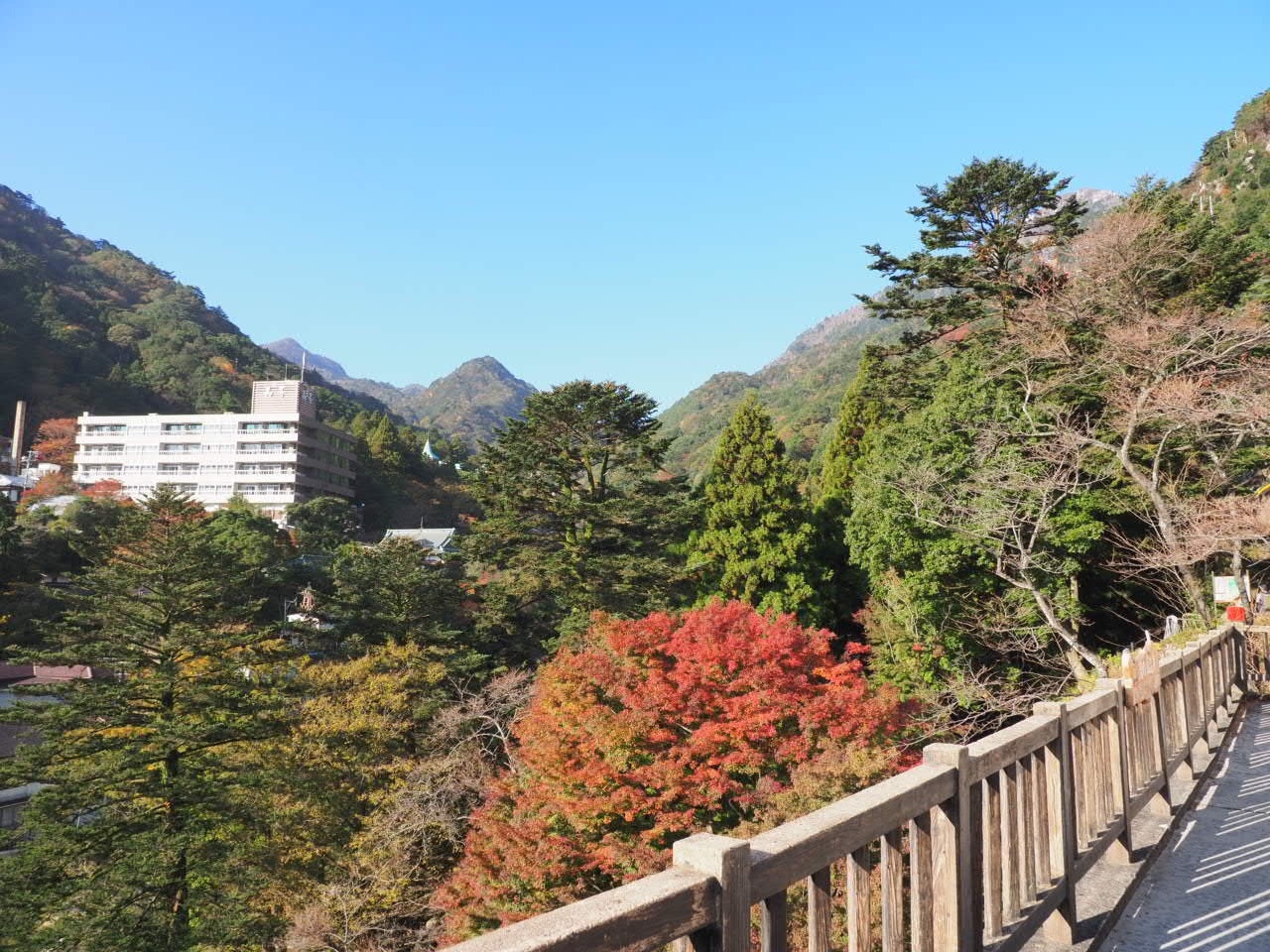 鎌ヶ岳から御在所岳へ縦走 おにめささんの入道ヶ岳 鎌ヶ岳 仙ヶ岳の活動日記 Yamap ヤマップ