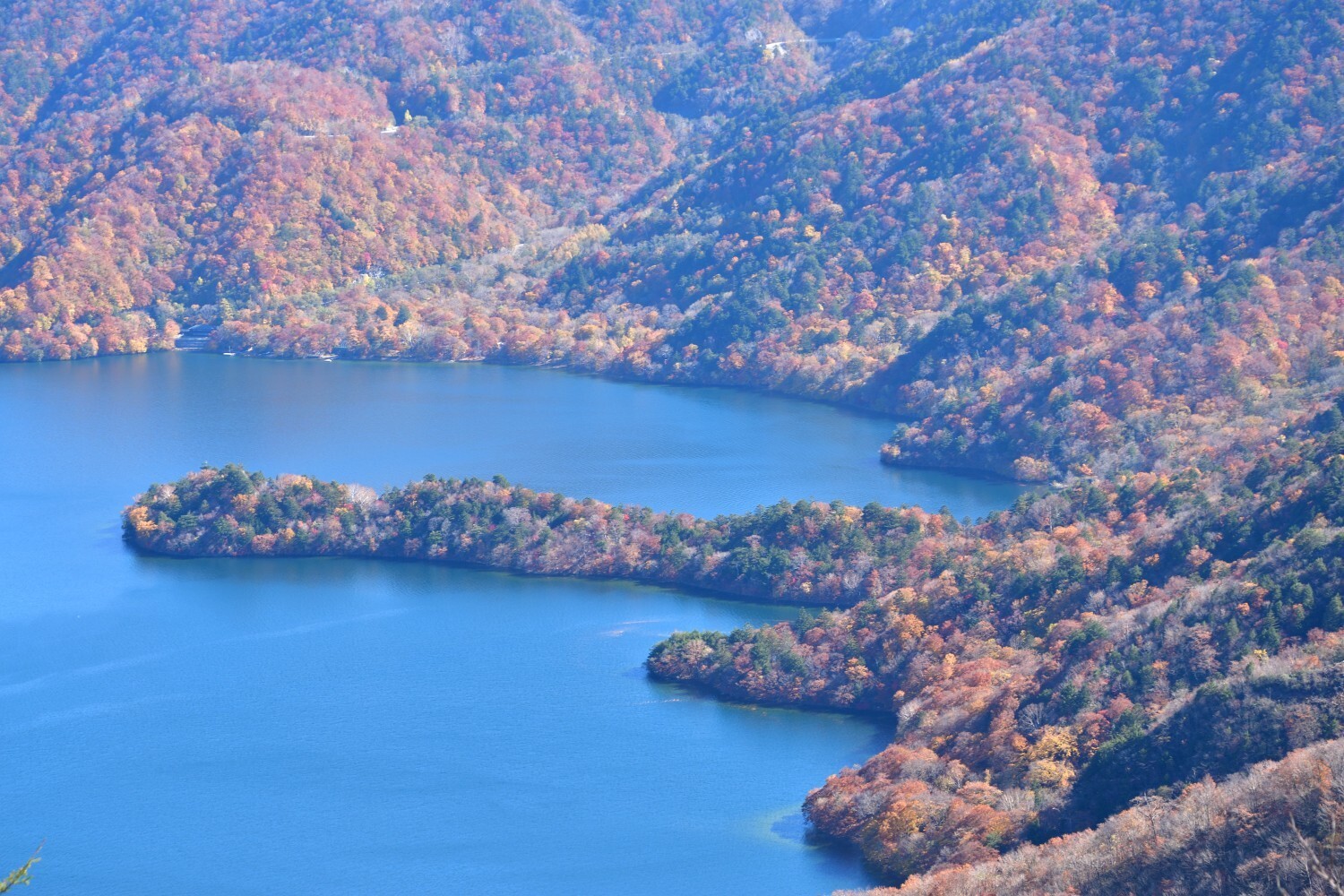 半月山 中禅寺山 社山 半月山展望台駐車場から あなさんの社山 半月山の活動日記 Yamap ヤマップ
