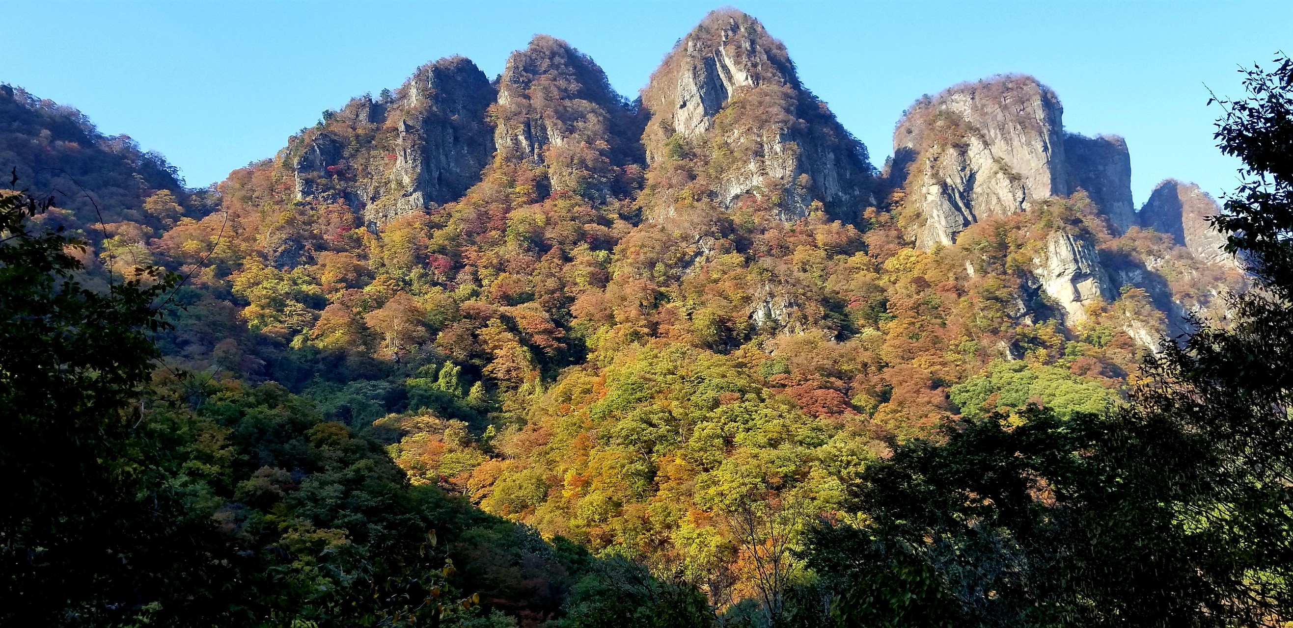 世にも奇岩な物語 秋の妙義は紅葉 と鎖 の甘辛ミックス 魔の山なんて誰が言うさんの妙義山 天狗岳 相馬岳の活動日記 Yamap ヤマップ