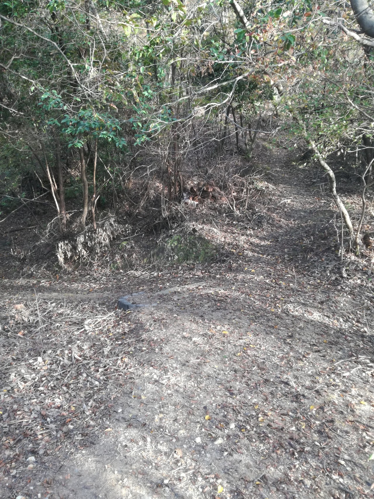 東山トレイル でもここは宝ヶ池ｗ 妙法の 法 がある東山 ゲキカラさんの京都市の活動日記 Yamap ヤマップ