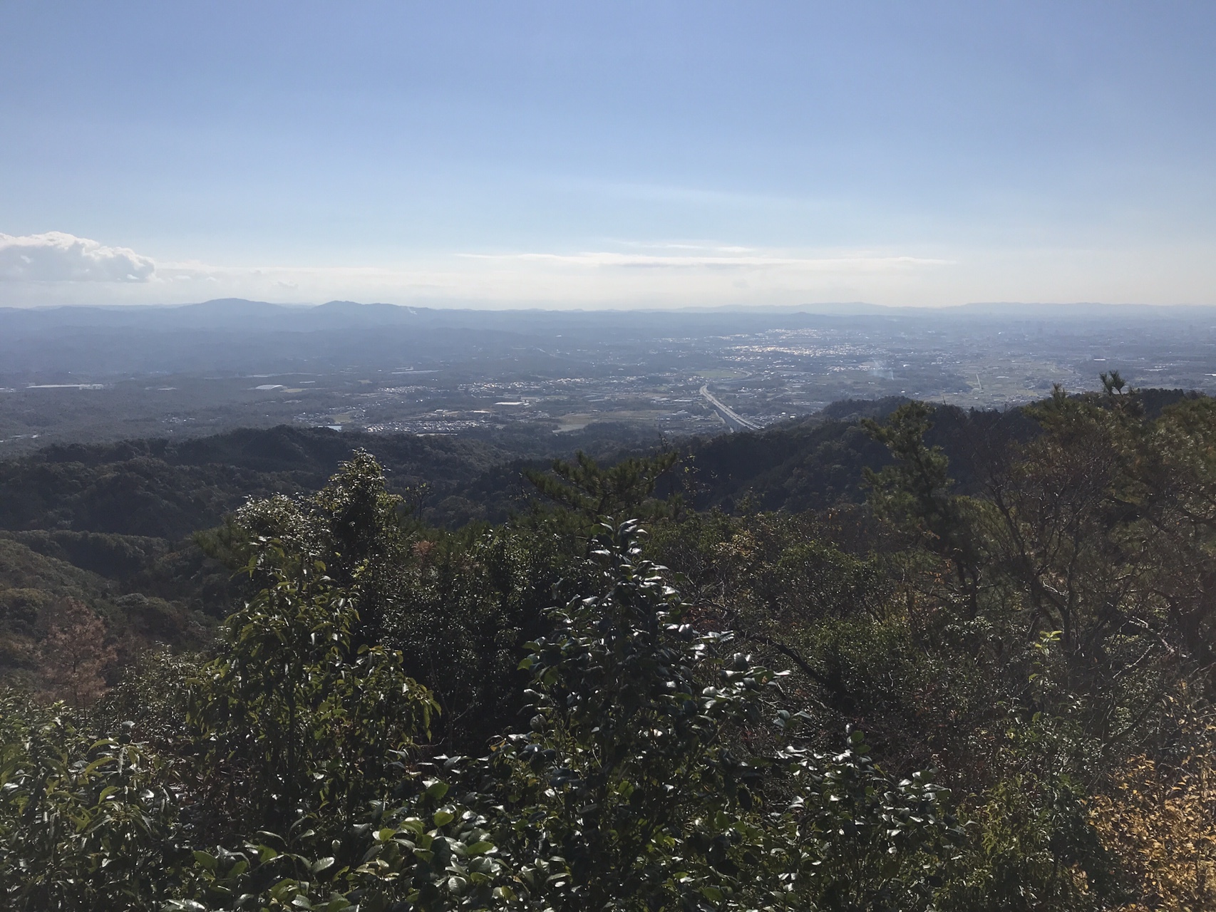 猿投山 武田道登山口 西宮 球状花崗岩ループ すなすなさんの猿投山 物見山の活動日記 Yamap ヤマップ