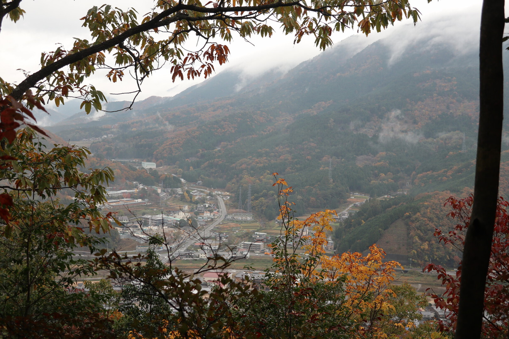 雲海の中の竹田城跡へ 但馬竹田 竹田城 朝来山の写真8枚目 木立の間から見えた立雲峡方面 Yamap ヤマップ