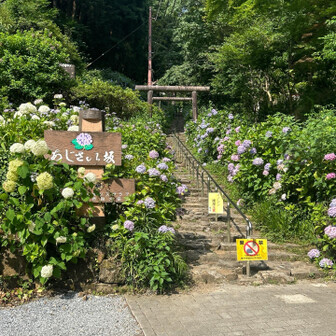 あじさい坂