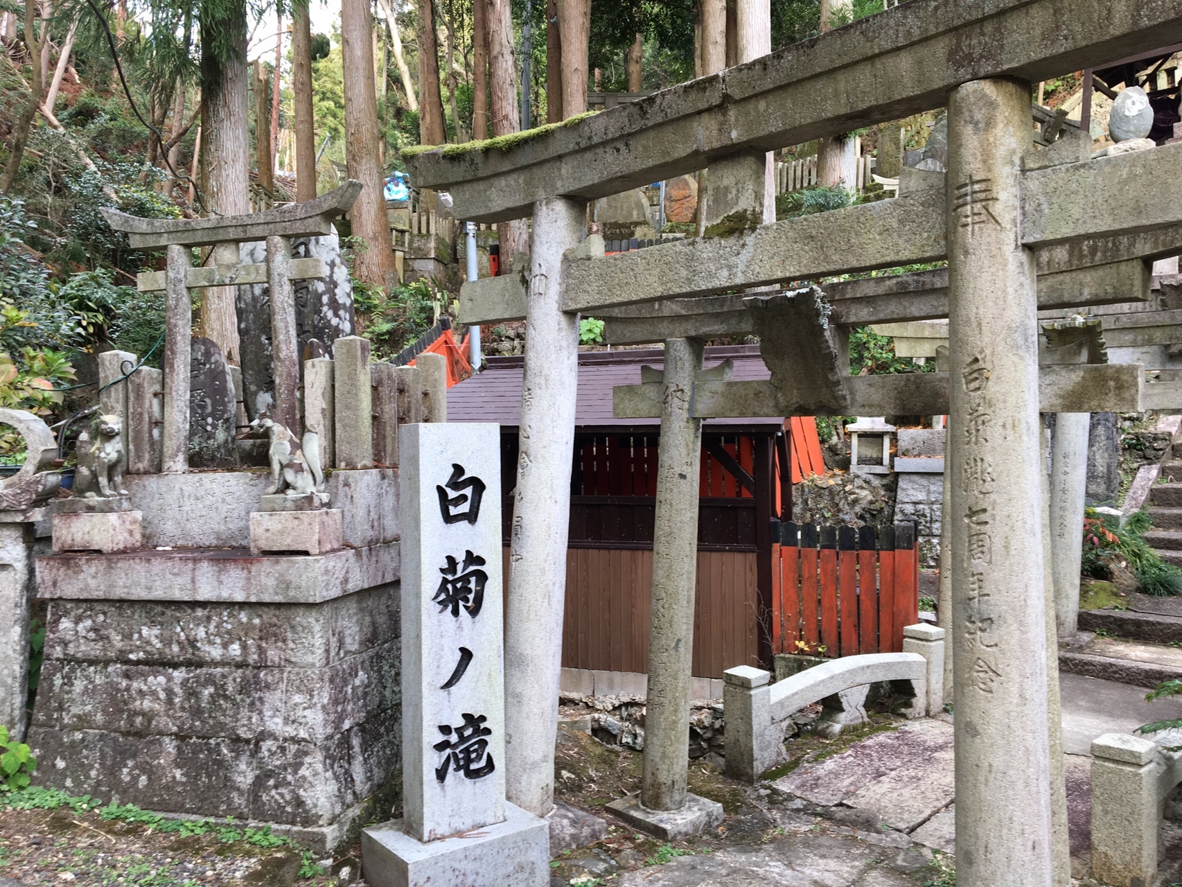 山科から伏見稲荷へ リュウトさんの大文字山 如意ヶ嶽 稲荷山の活動データ Yamap ヤマップ