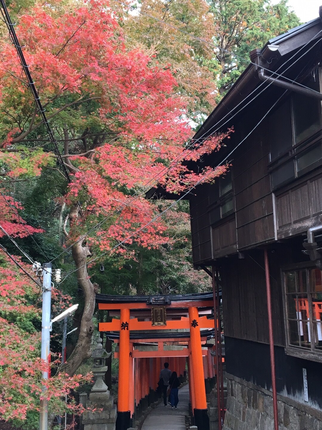 山科から伏見稲荷へ リュウトさんの大文字山 如意ヶ嶽 稲荷山の活動日記 Yamap ヤマップ
